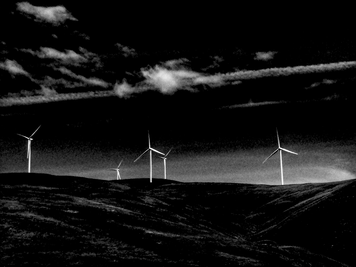 windmillsbw.jpg