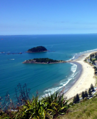 New Zealand Summer
