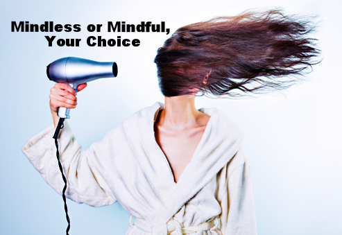 To Be a Mindless Or Mindful Leader!