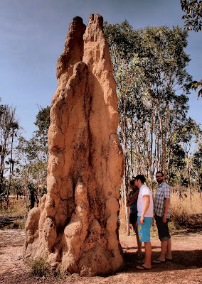 This Cathedral Termite Mound was over 5m tall!