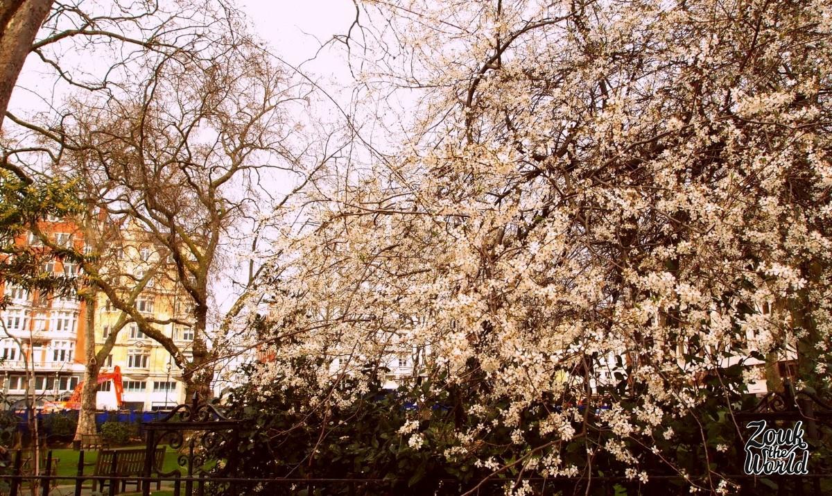 Spring time in London! One minute sunshine...
