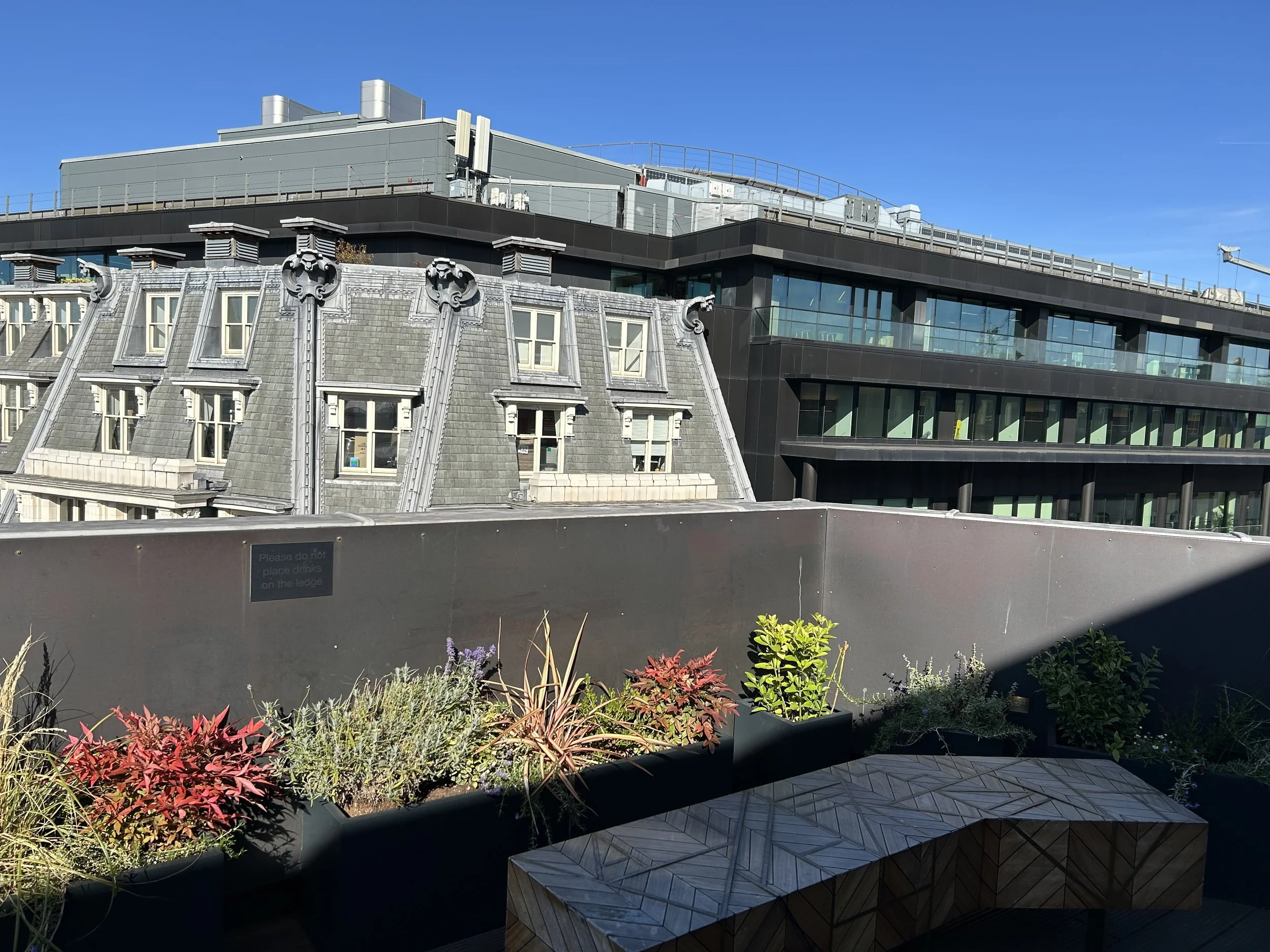 7 Air Street pollinator-friendly and sensory planting