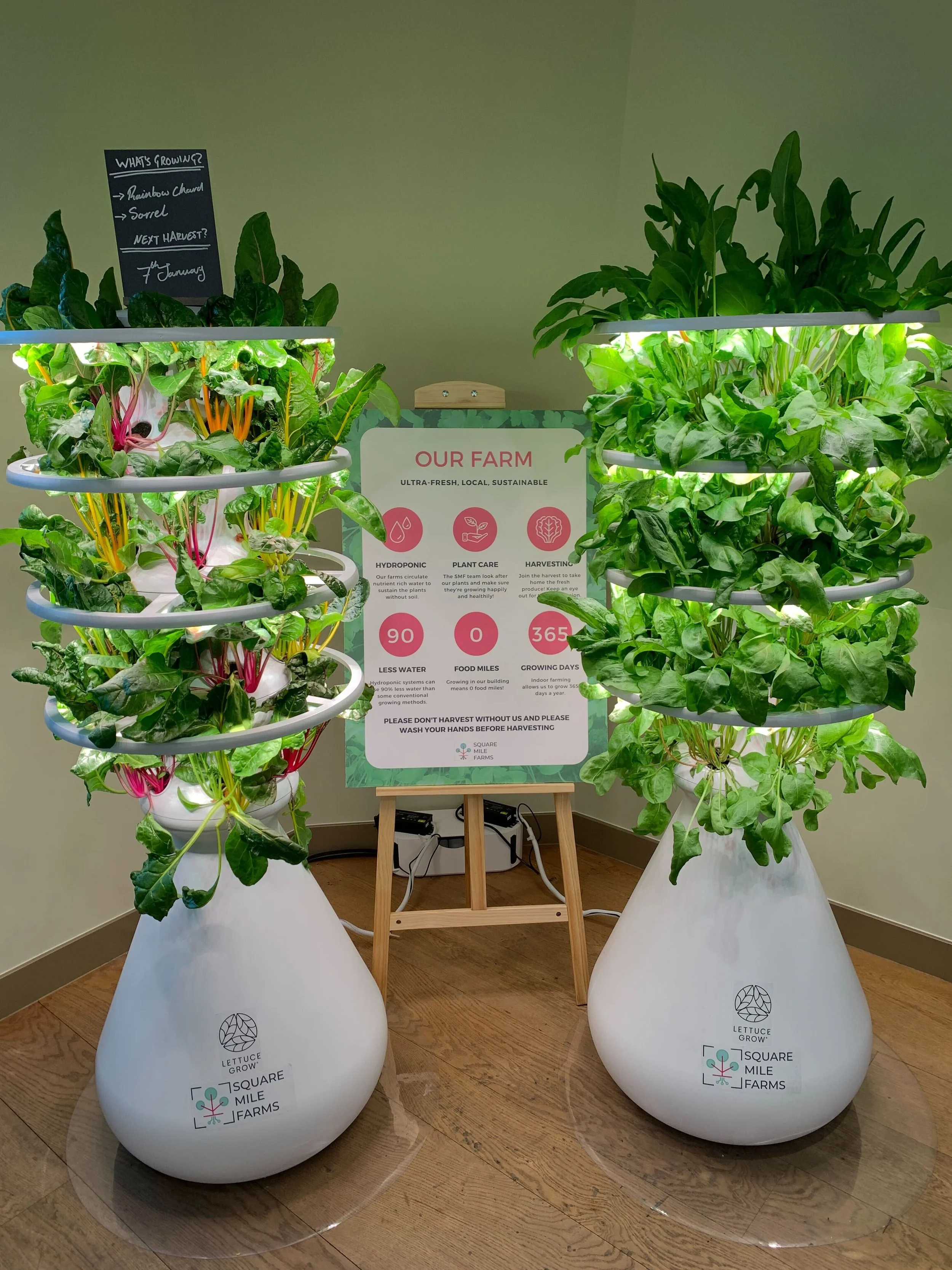 Urban farm stands boost connection to nature and food