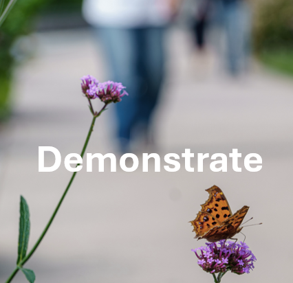 Demonstrate.png