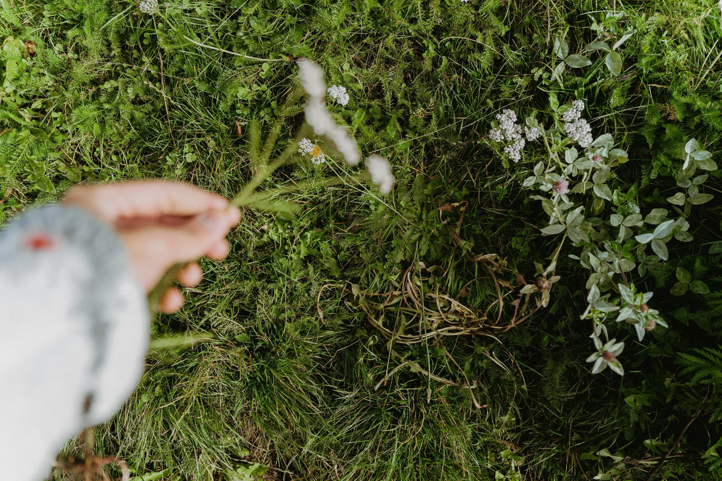Hand and Green Wall.jpg