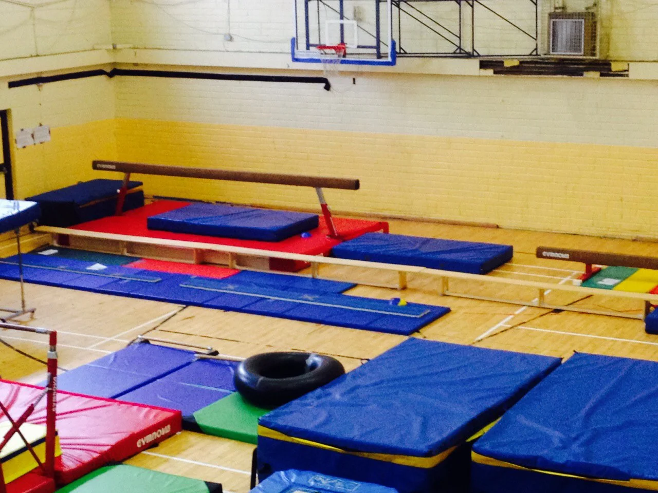 Kids in Motion Gym Schools Sligo.jpg