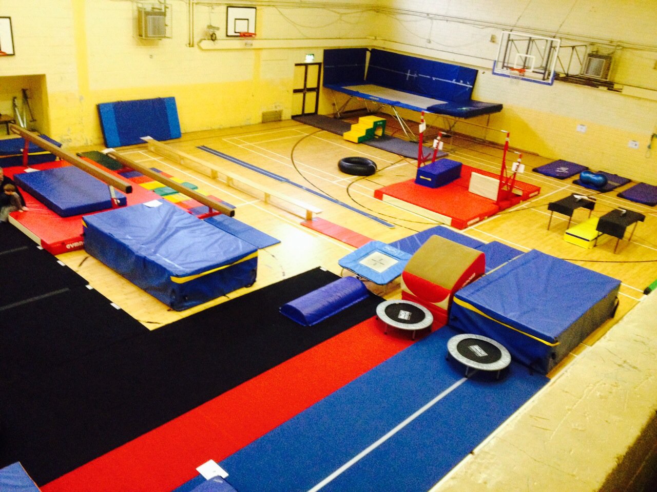 Kids in Motion Gymnastics Transition Year.jpg