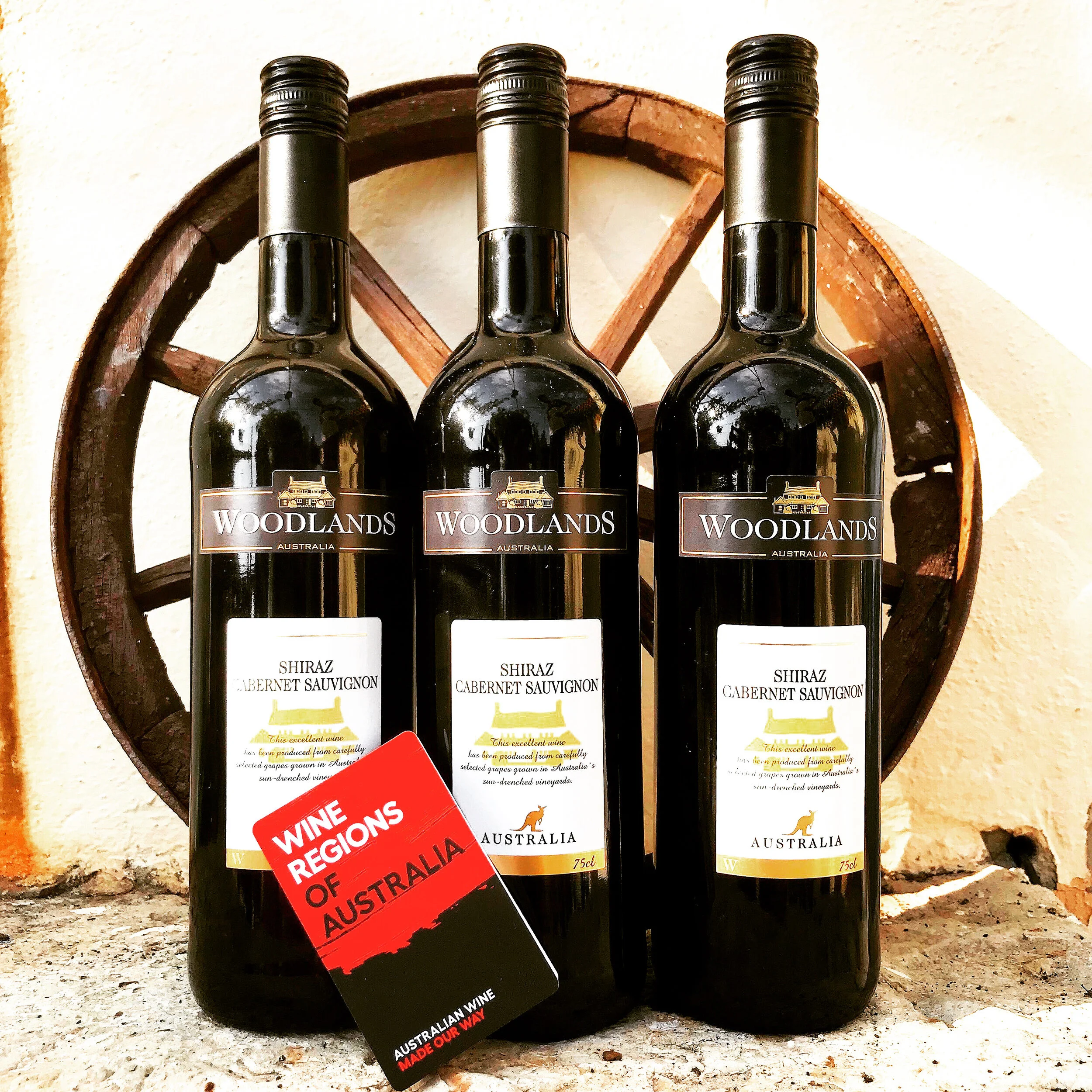 Red Wine Lover 6er Case . International Mixed Selection