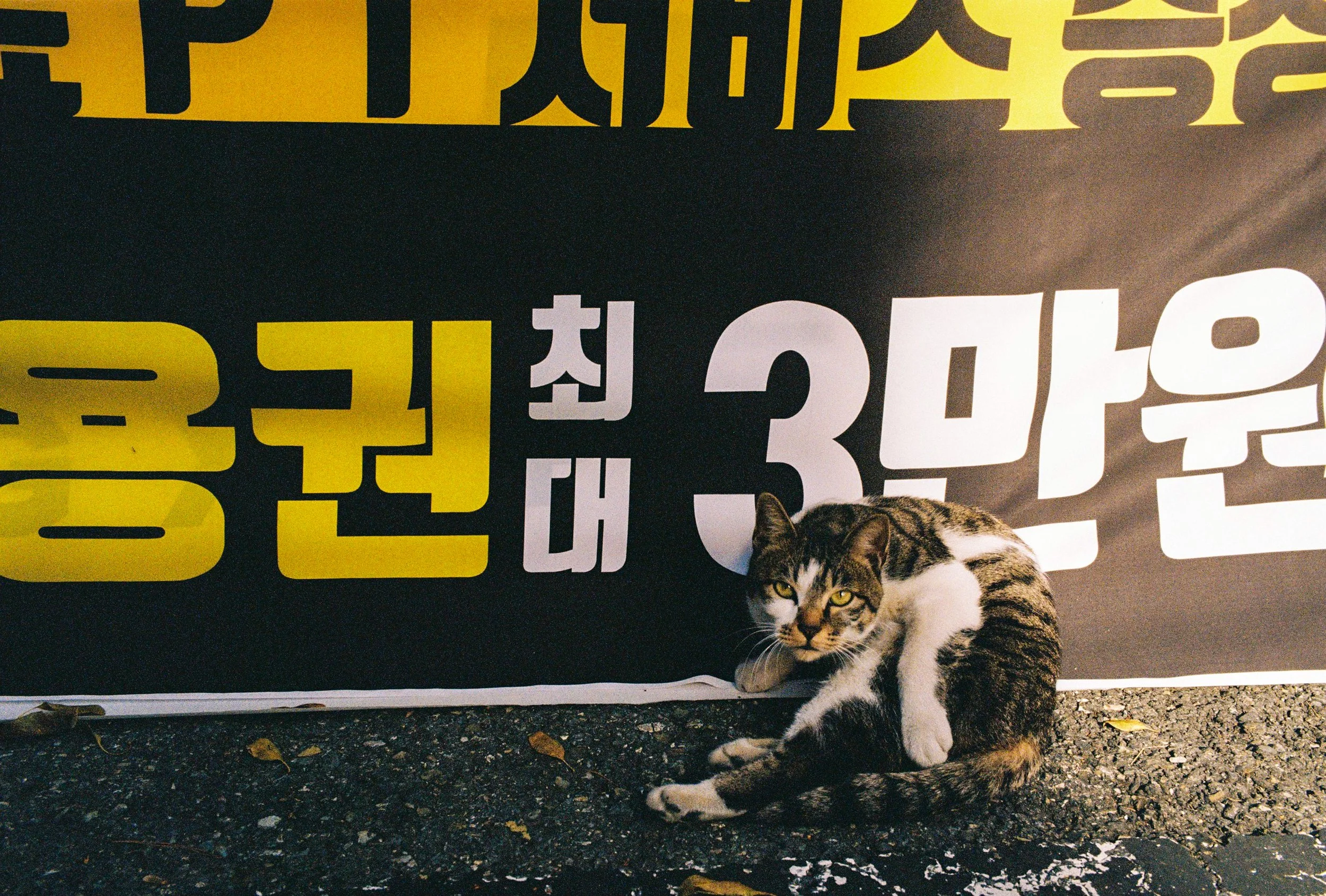 2025KODAK200_11_30_ 00019JPG.jpg