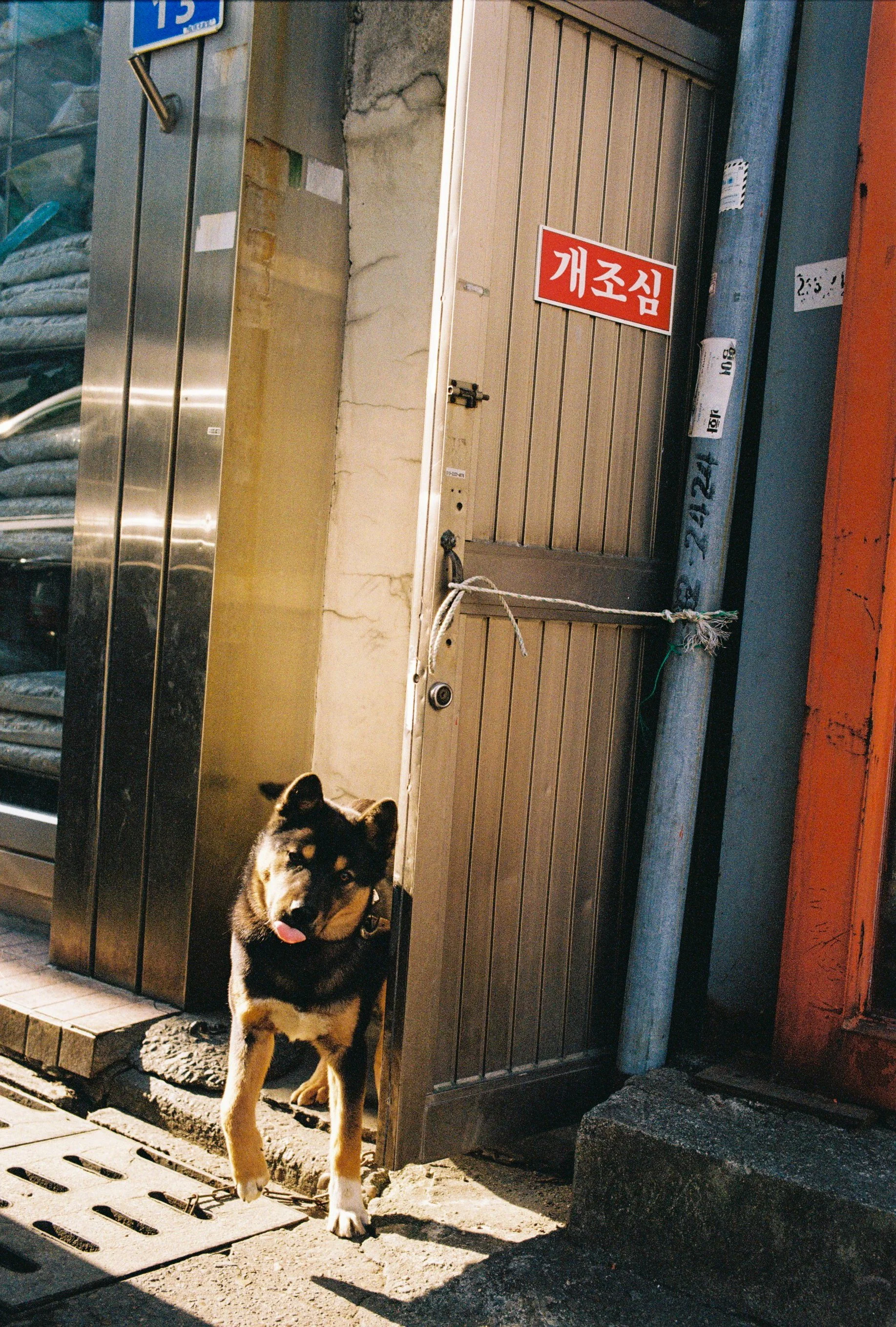 2025KODAK200_11_30_ 00030JPG.jpg