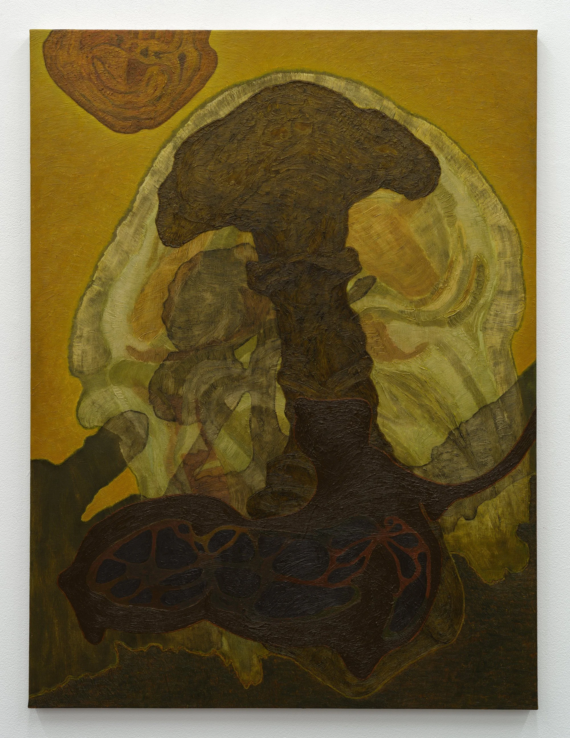 Harvest, 2023-25