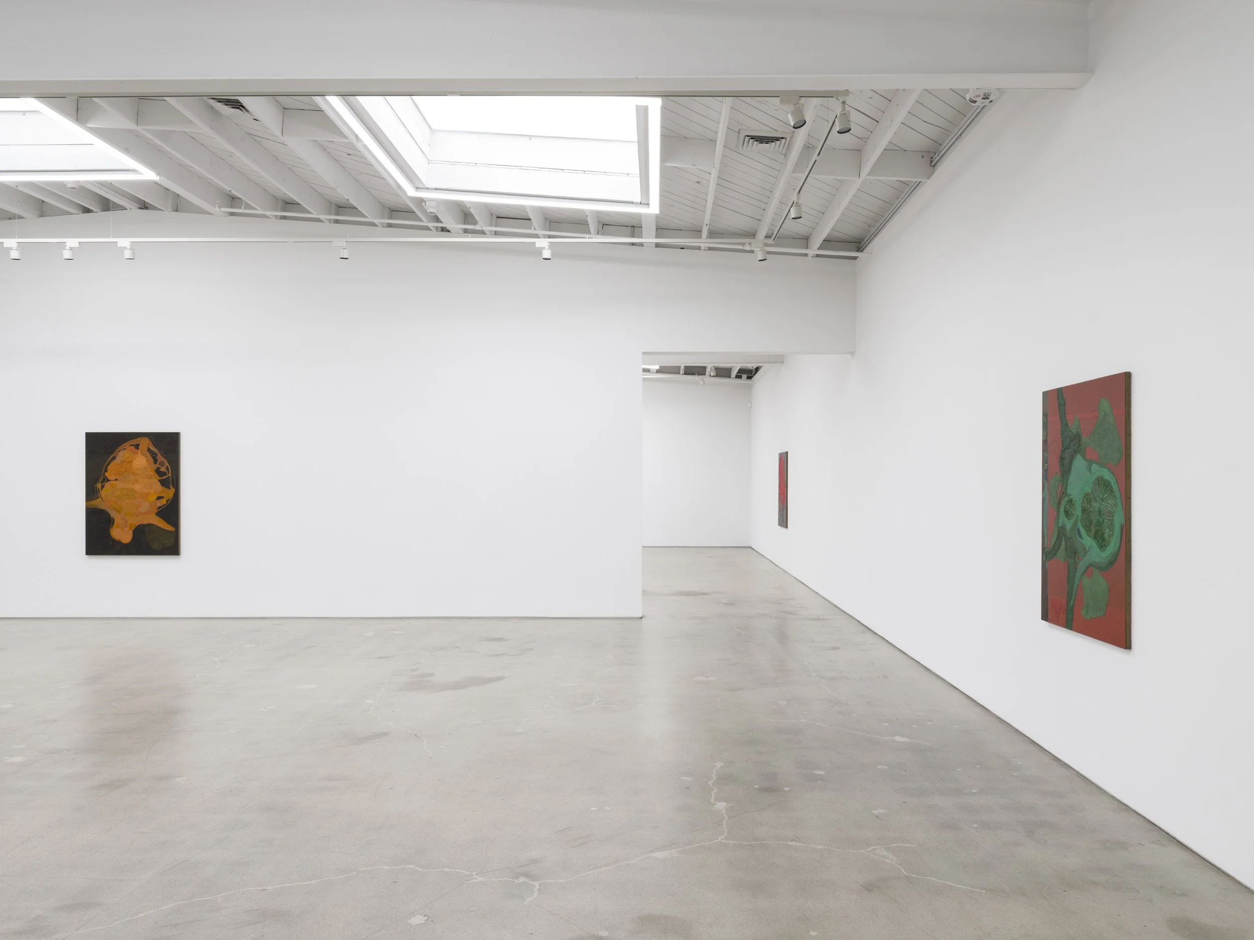 Installation view of Randy Wray: Hothouse at Karma, Los Angeles, 2026, showing multiple paintings across the gallery walls.