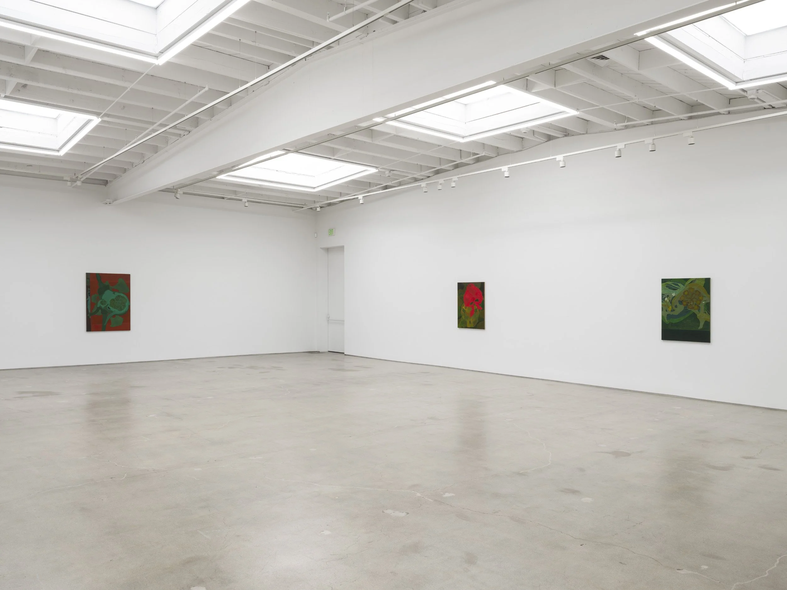 Installation view of Randy Wray: Hothouse at Karma, Los Angeles, 2026, showing multiple paintings across the gallery walls.