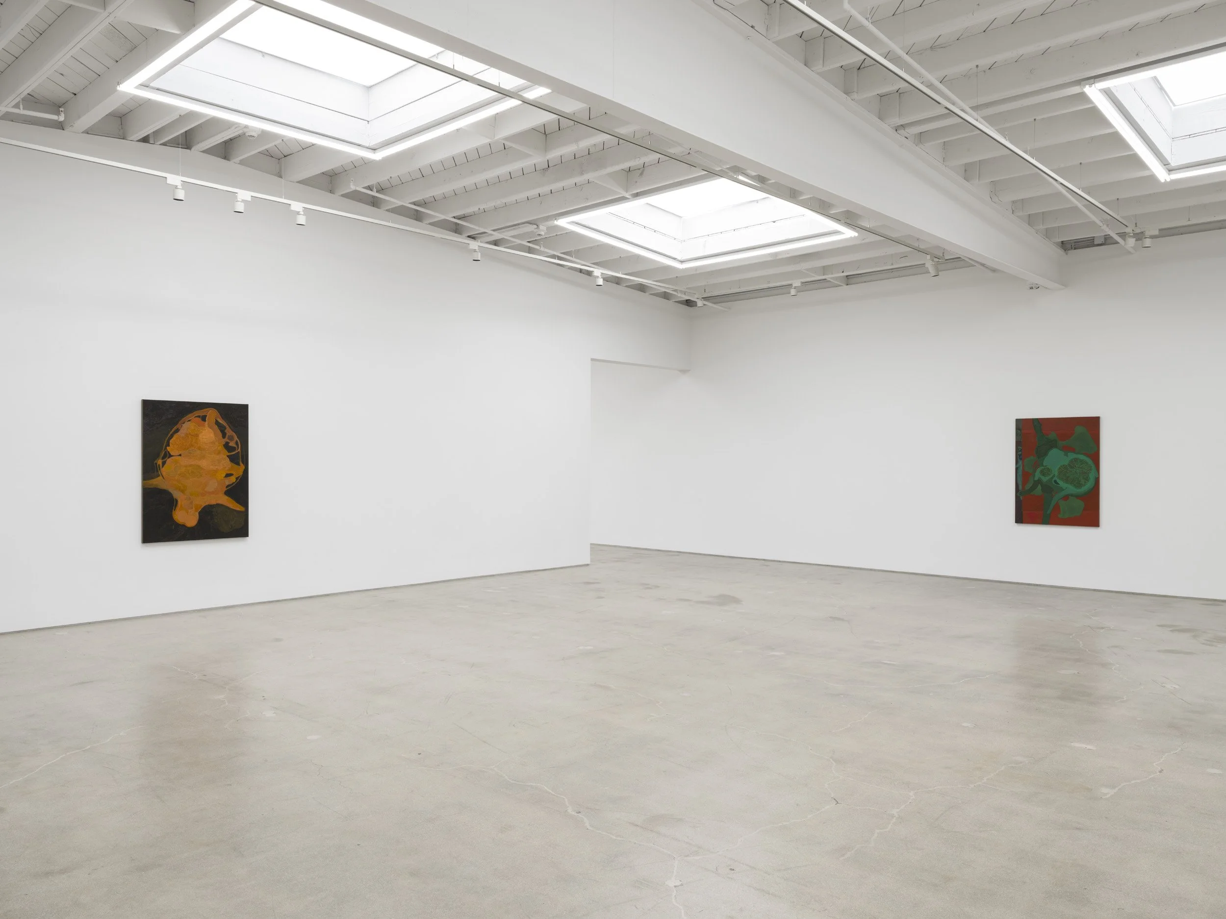 Installation view of Randy Wray: Hothouse at Karma, Los Angeles, 2026, showing multiple paintings across the gallery walls.