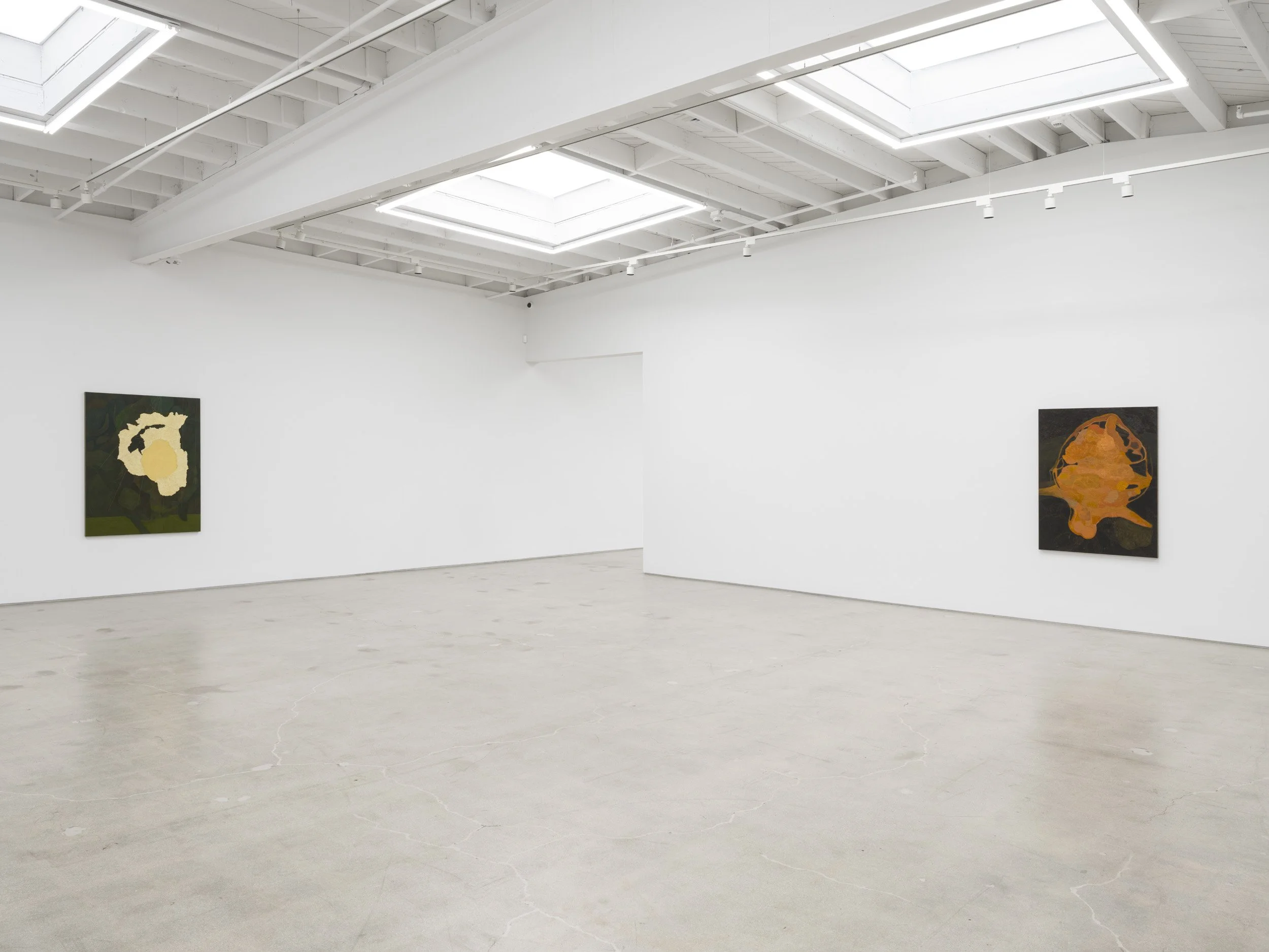 Installation view of Randy Wray: Hothouse at Karma, Los Angeles, 2026, showing multiple paintings across the back gallery walls.