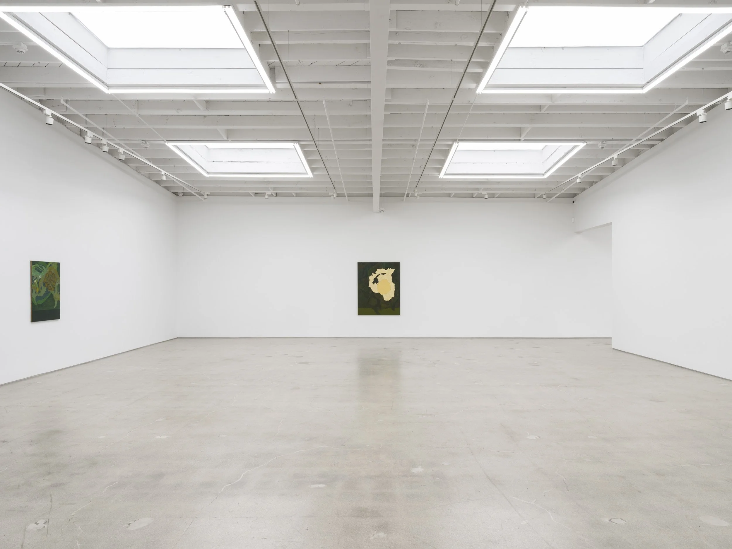 Installation view of Randy Wray: Hothouse at Karma, Los Angeles, 2026, showing multiple paintings across the gallery walls.
