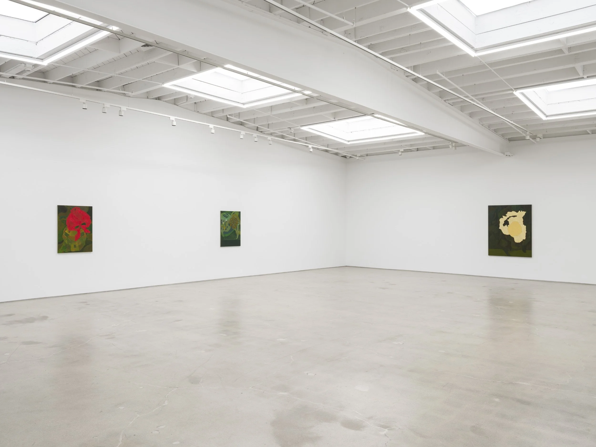 Installation view of Randy Wray: Hothouse at Karma, Los Angeles, 2026, showing multiple paintings across the gallery.