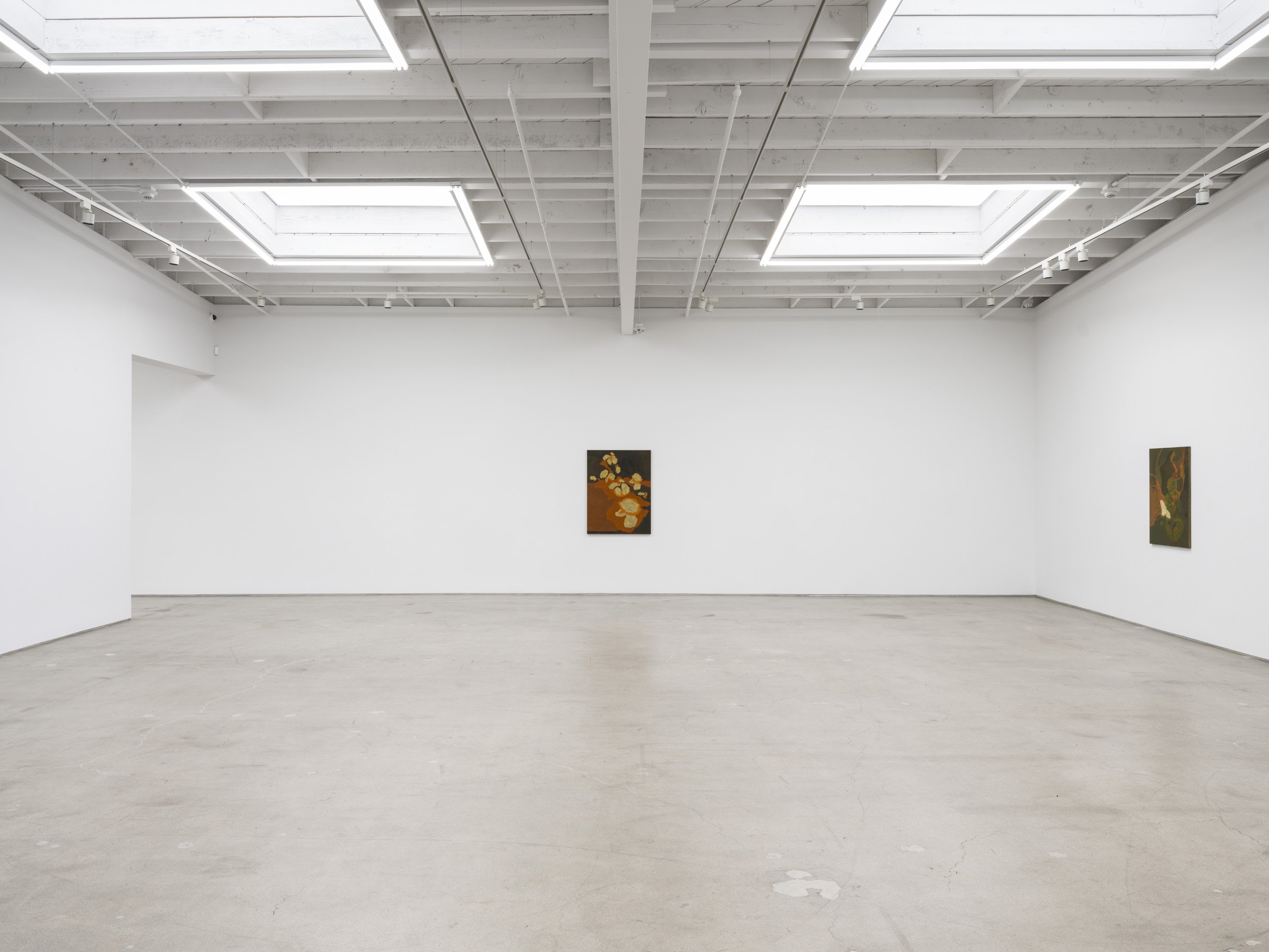 Installation view of Randy Wray: Hothouse at Karma, Los Angeles, 2026, showing a direct view of multiple paintings across the gallery walls.