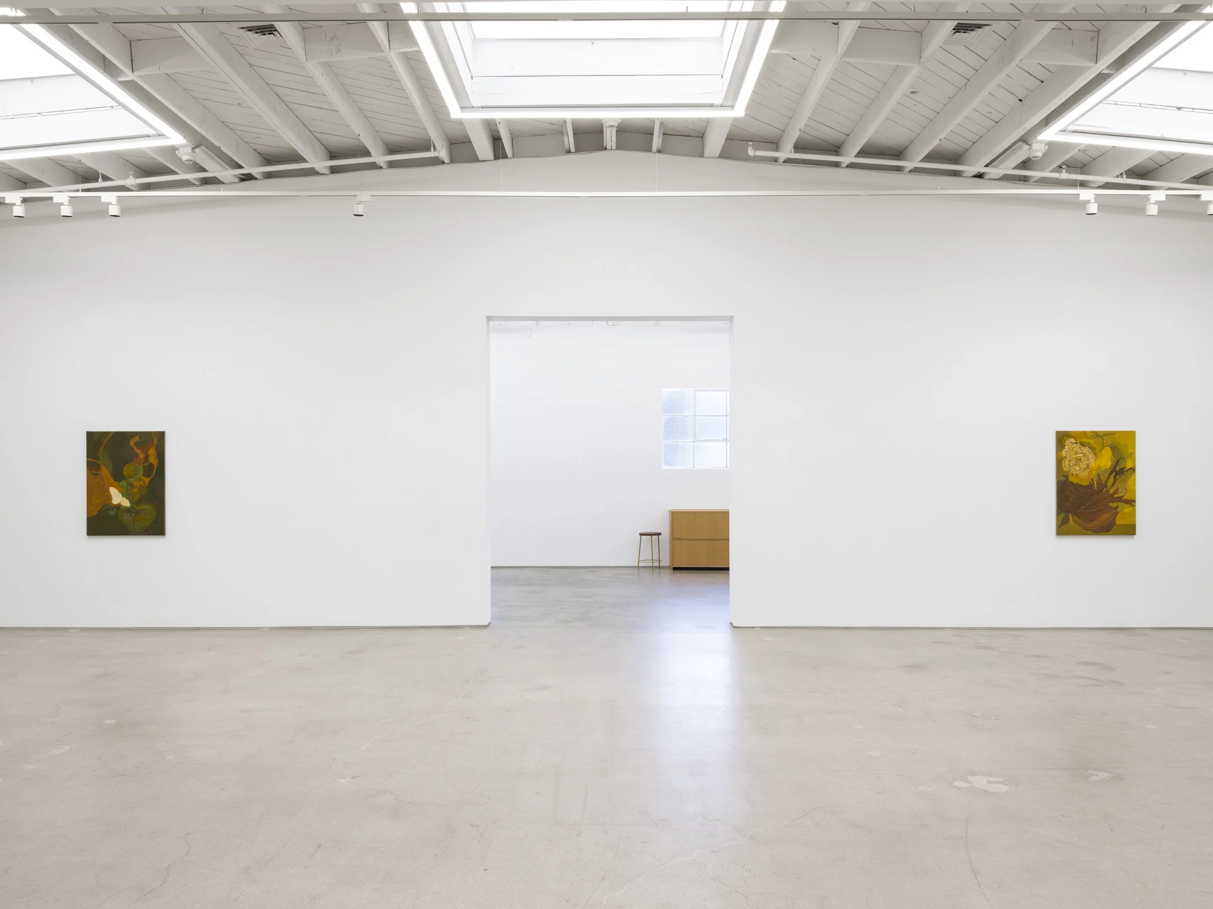 Installation view of Randy Wray: Hothouse at Karma, Los Angeles, 2026, showing  direct view of gallery entrance and two works.