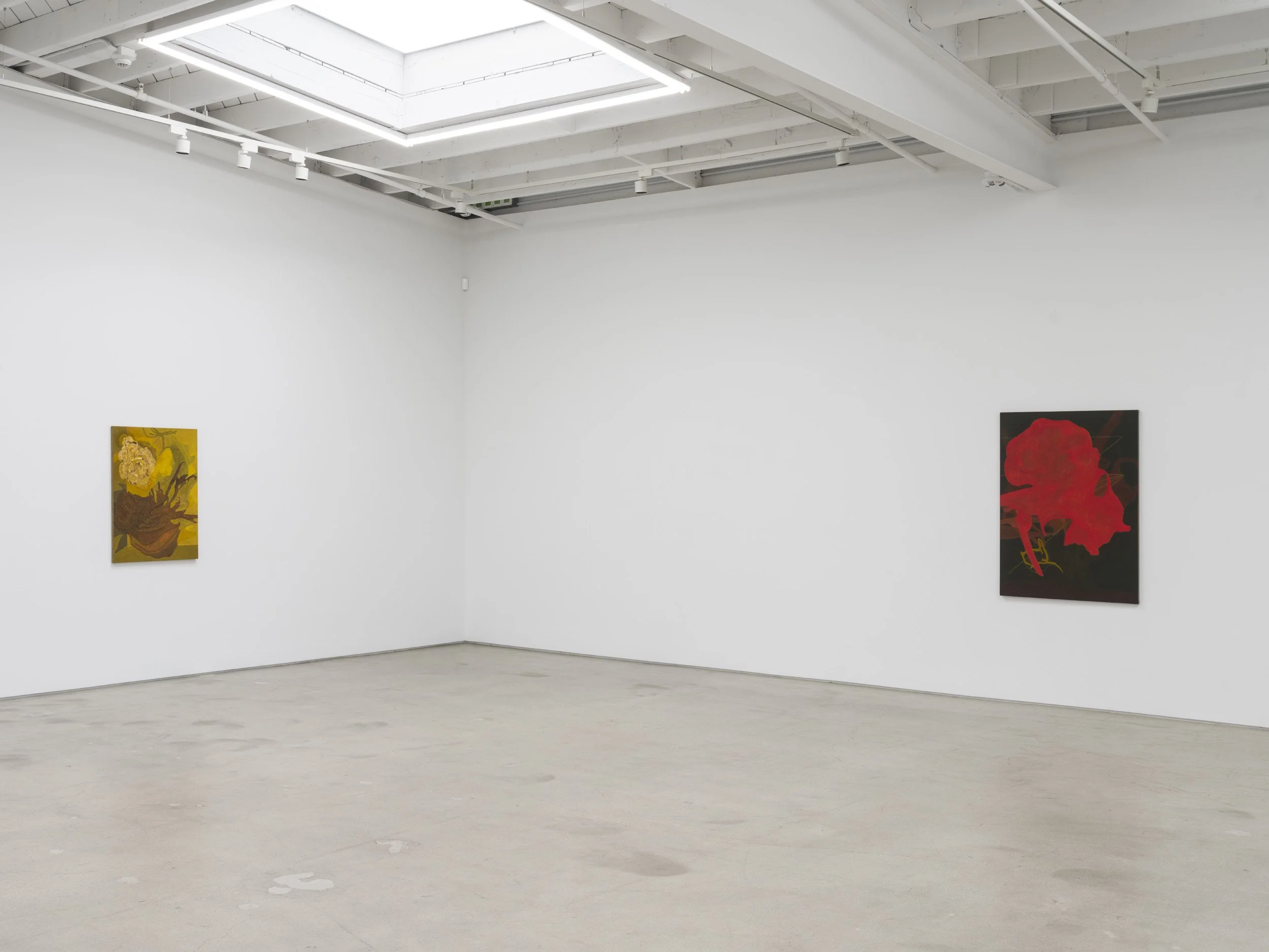 Installation view of Randy Wray: Hothouse at Karma, Los Angeles, 2026, showing multiple paintings across the gallery walls.