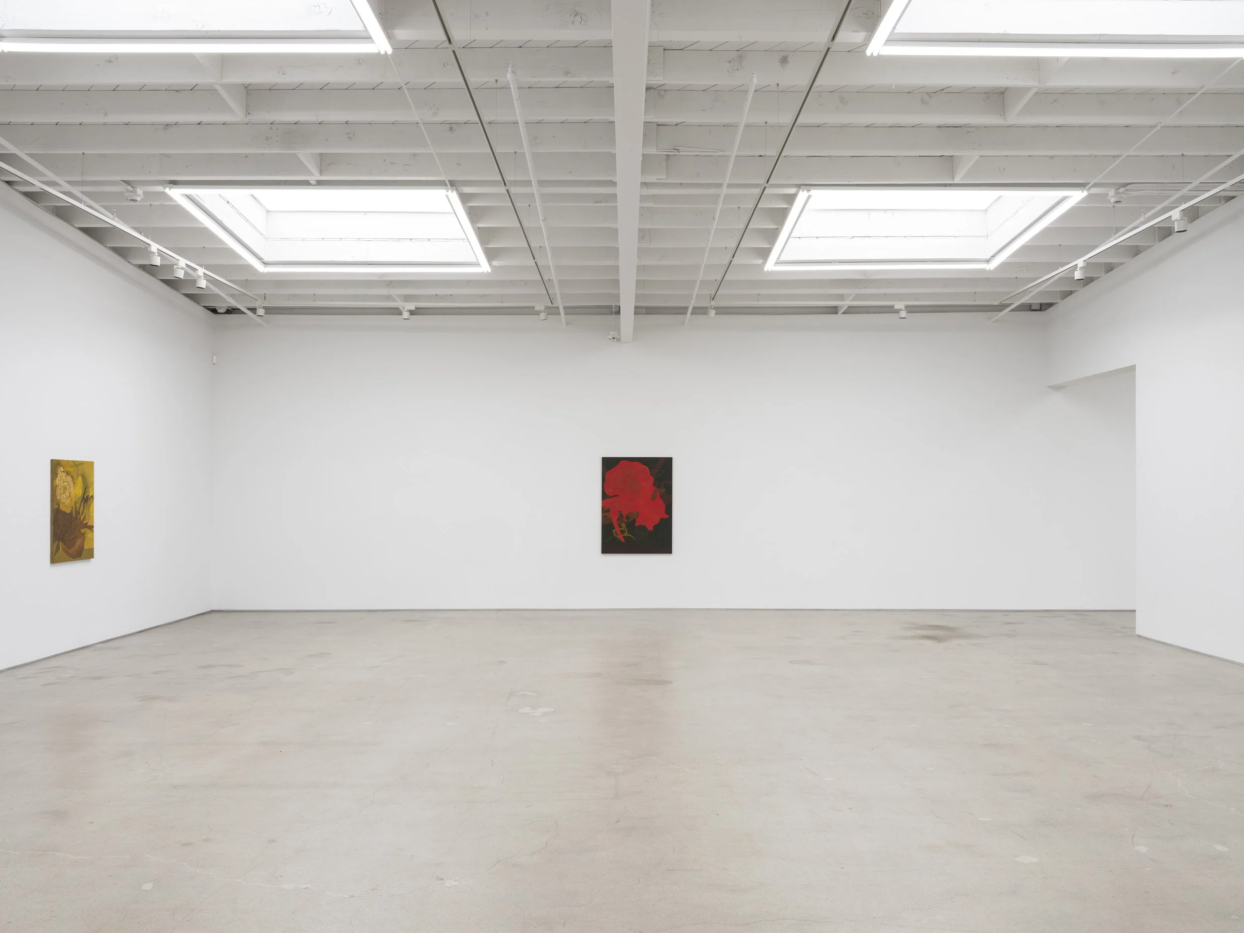 Installation view of Randy Wray: Hothouse at Karma, Los Angeles, 2026, showing direct view of multiple paintings across the gallery walls.