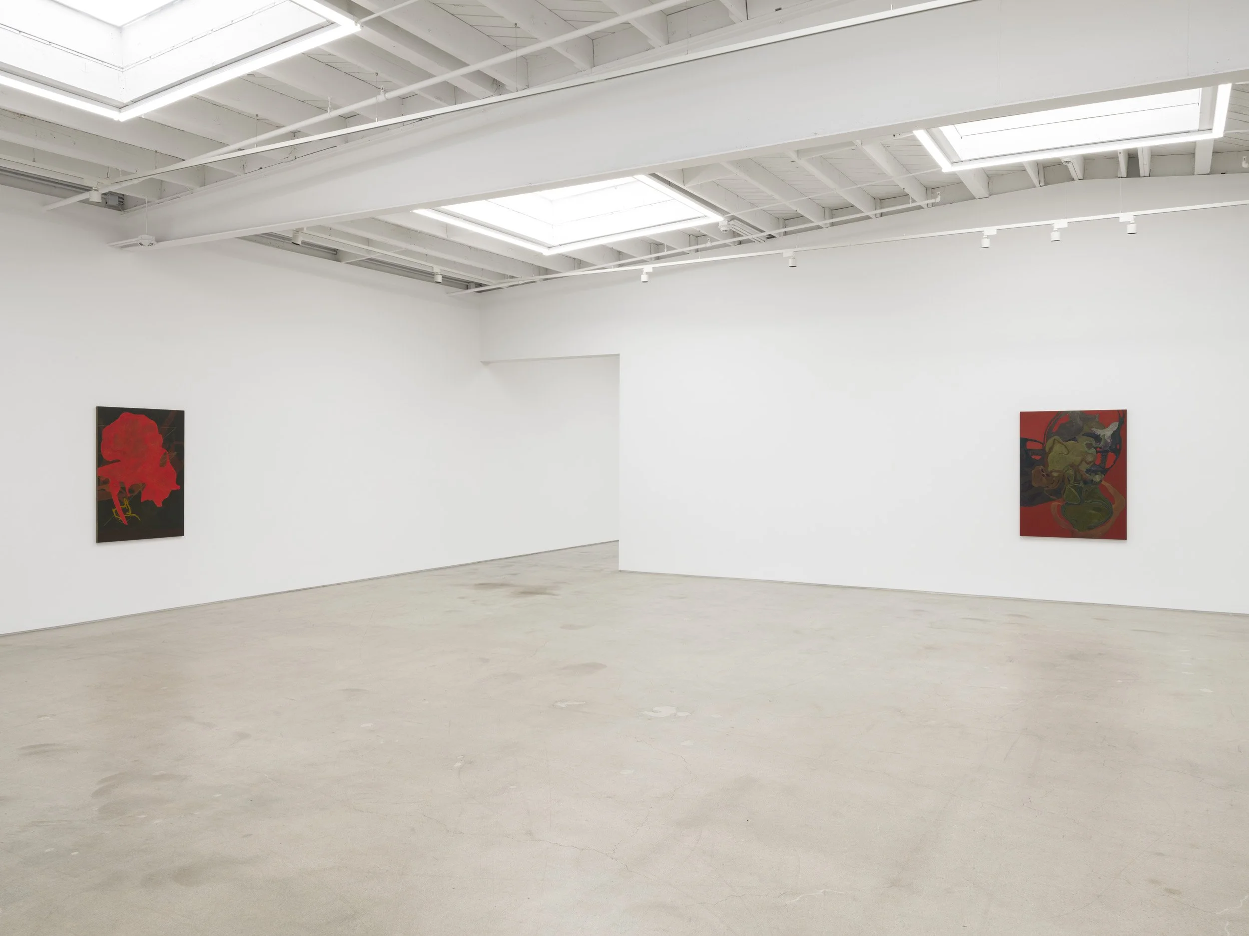 Installation view of Randy Wray: Hothouse at Karma, Los Angeles, 2026, showing two paintings across the gallery walls.