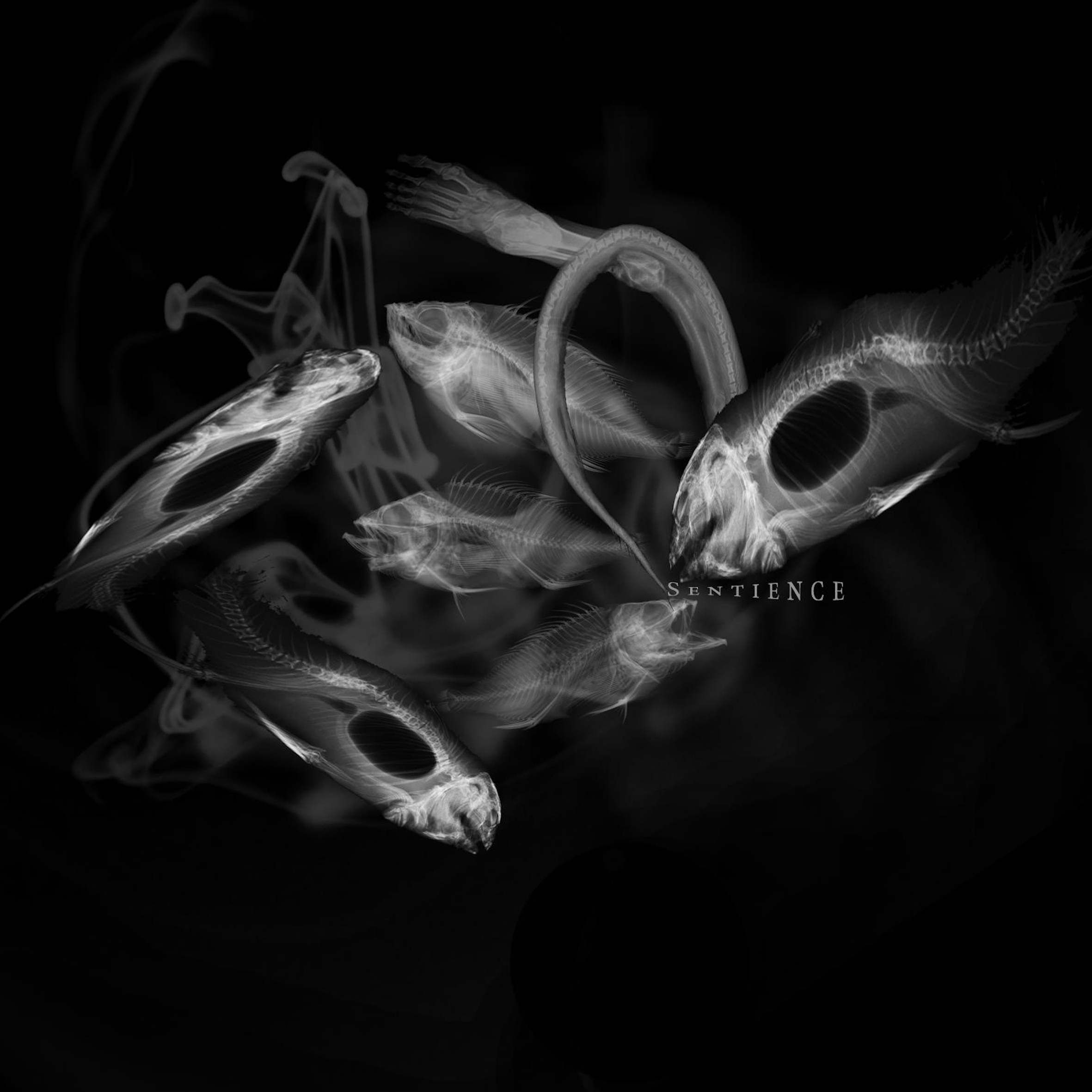 Detail 2.png