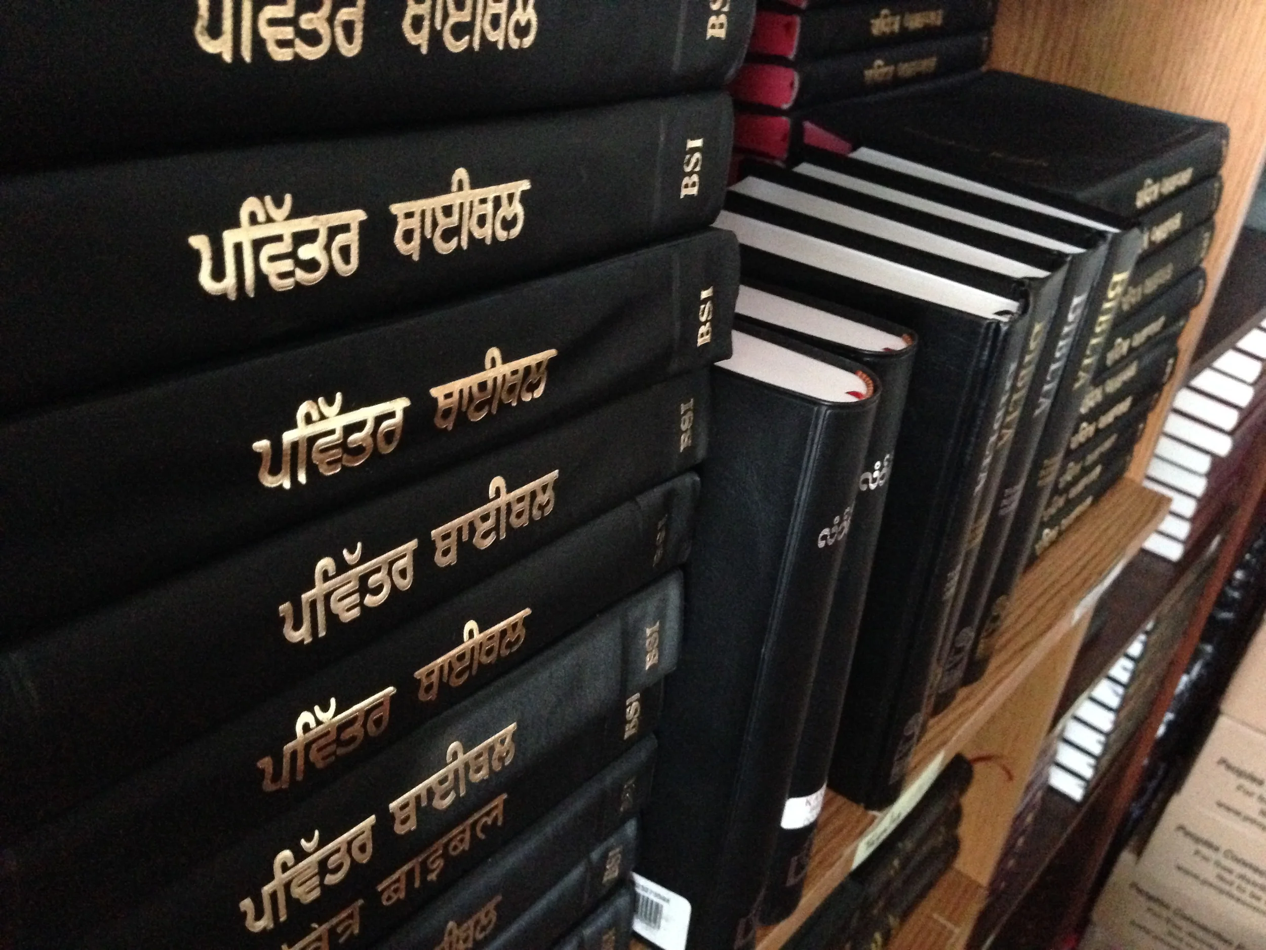 Bible Distribution