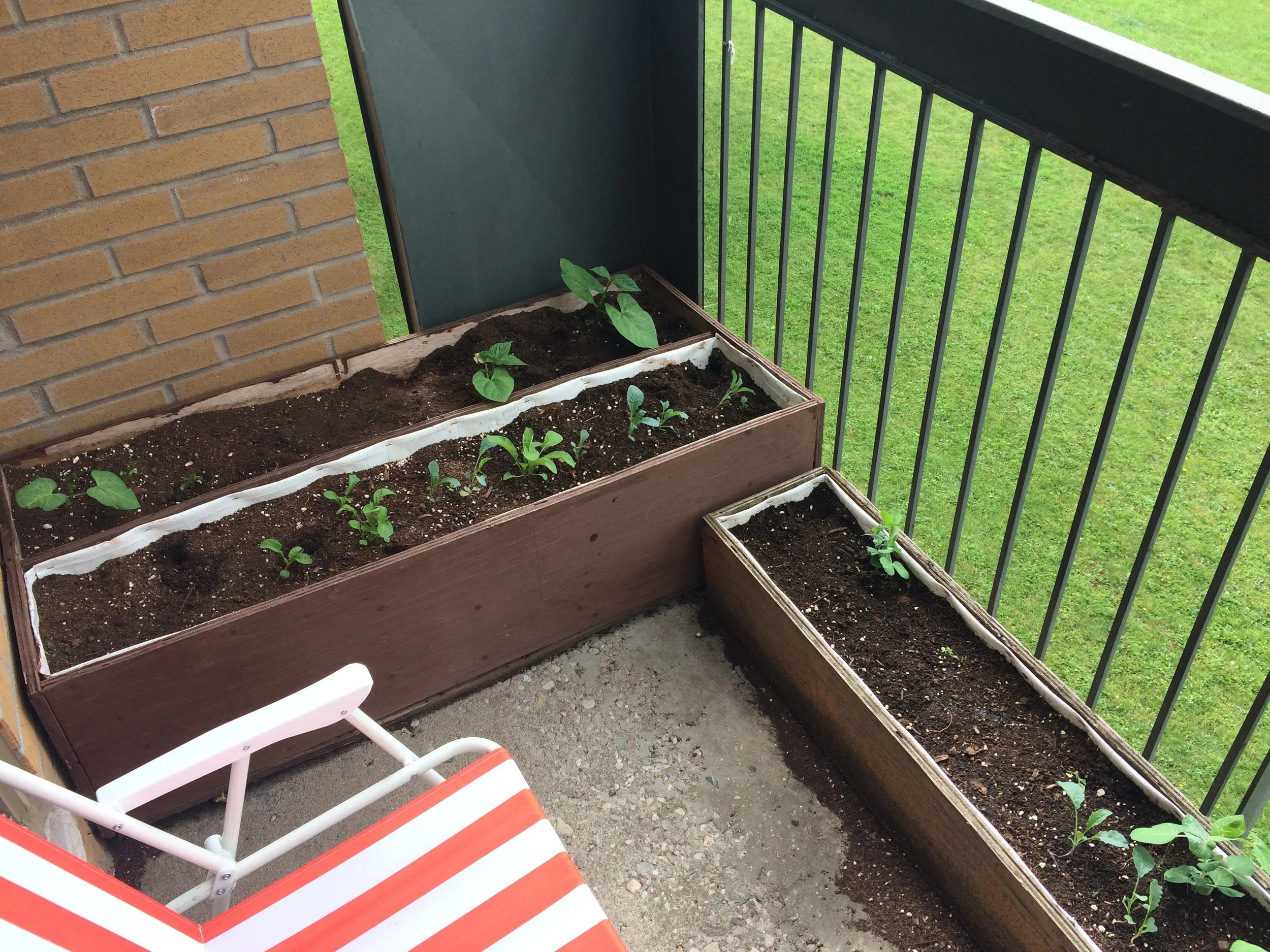 Kitchener Team's balcony garden