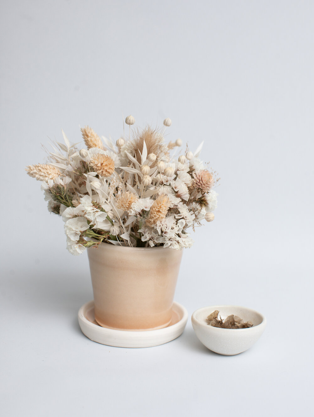 Growing Set With Dried Bouquet | £36.00