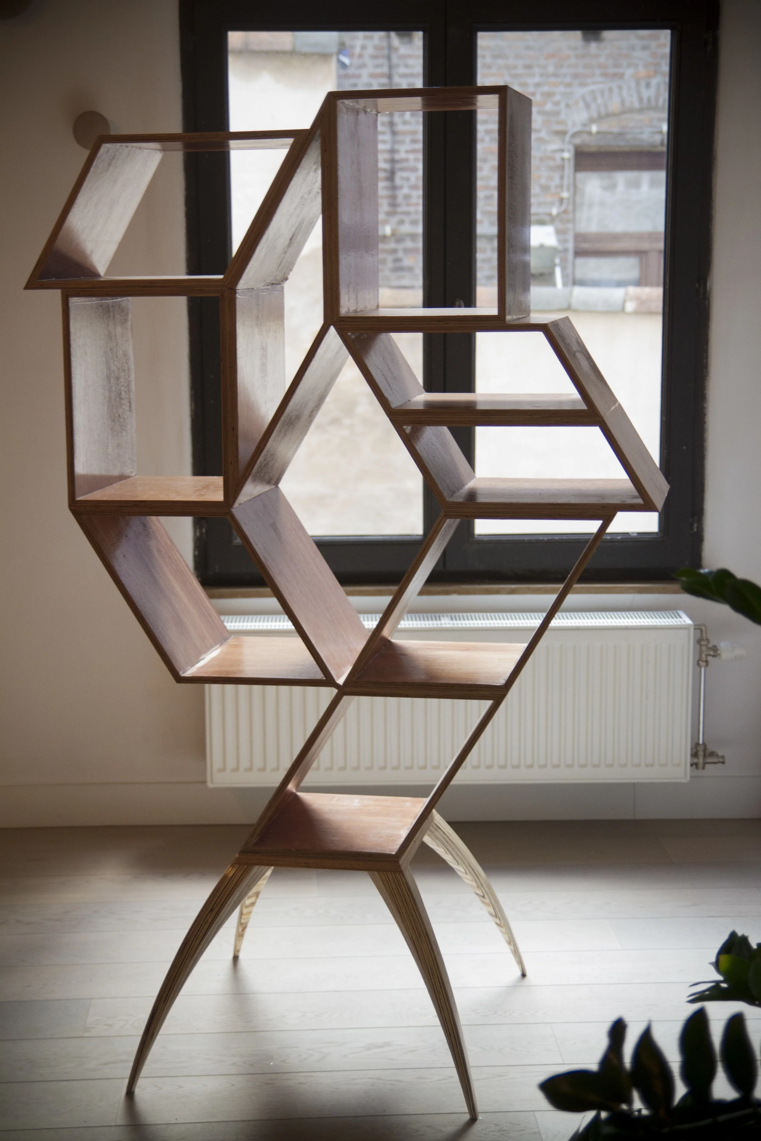 shelve11.jpg