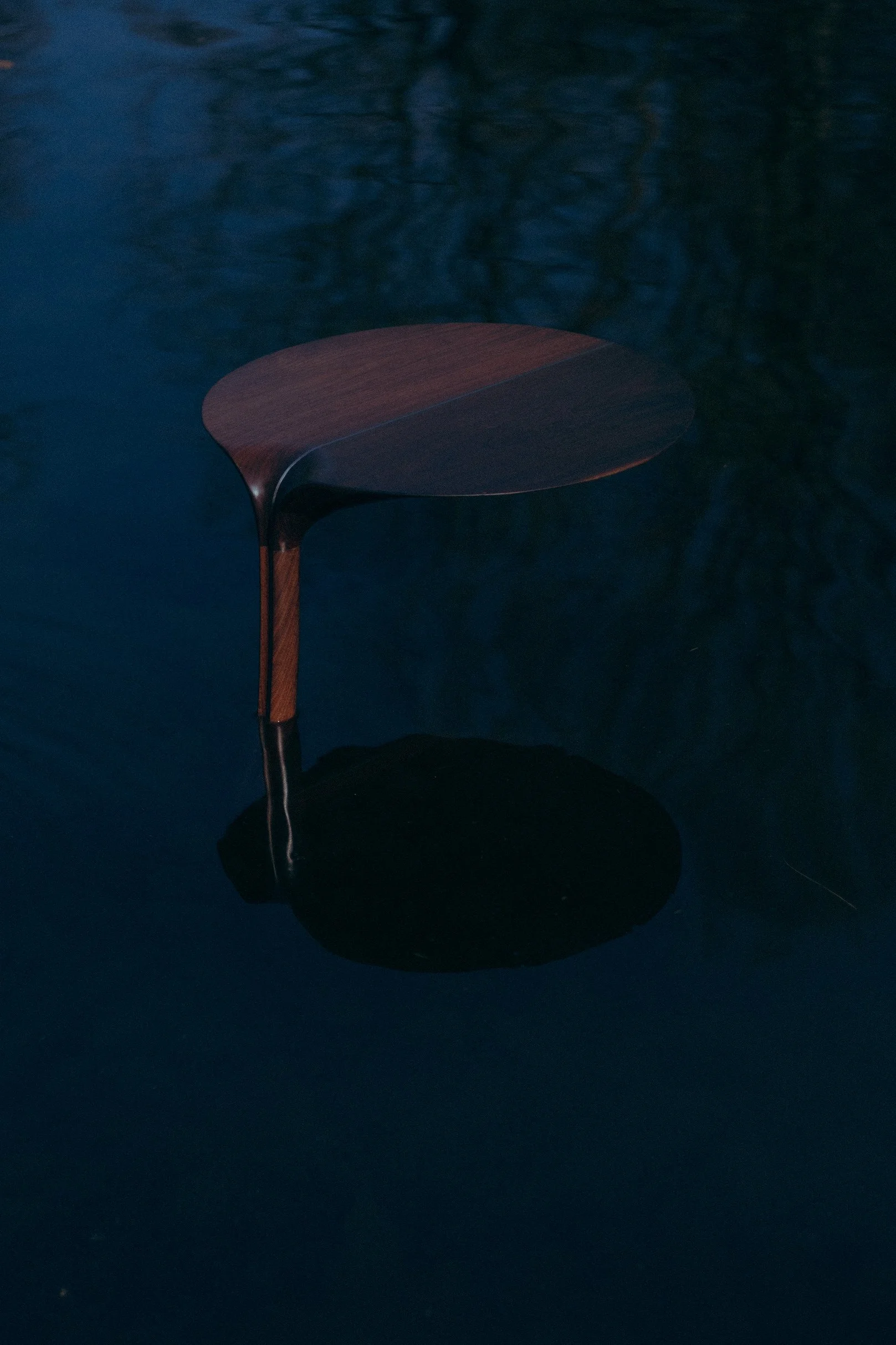 DSCF1154.jpg