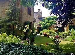 vine-garden.jpg
