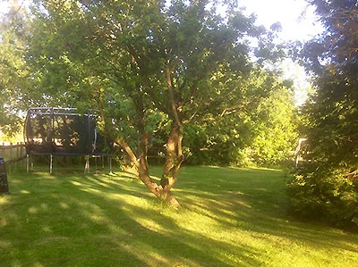 tanglemere-garden-bed-and-breakfast-murcot-turn-broadway-cotswolds-worcestershire.jpg