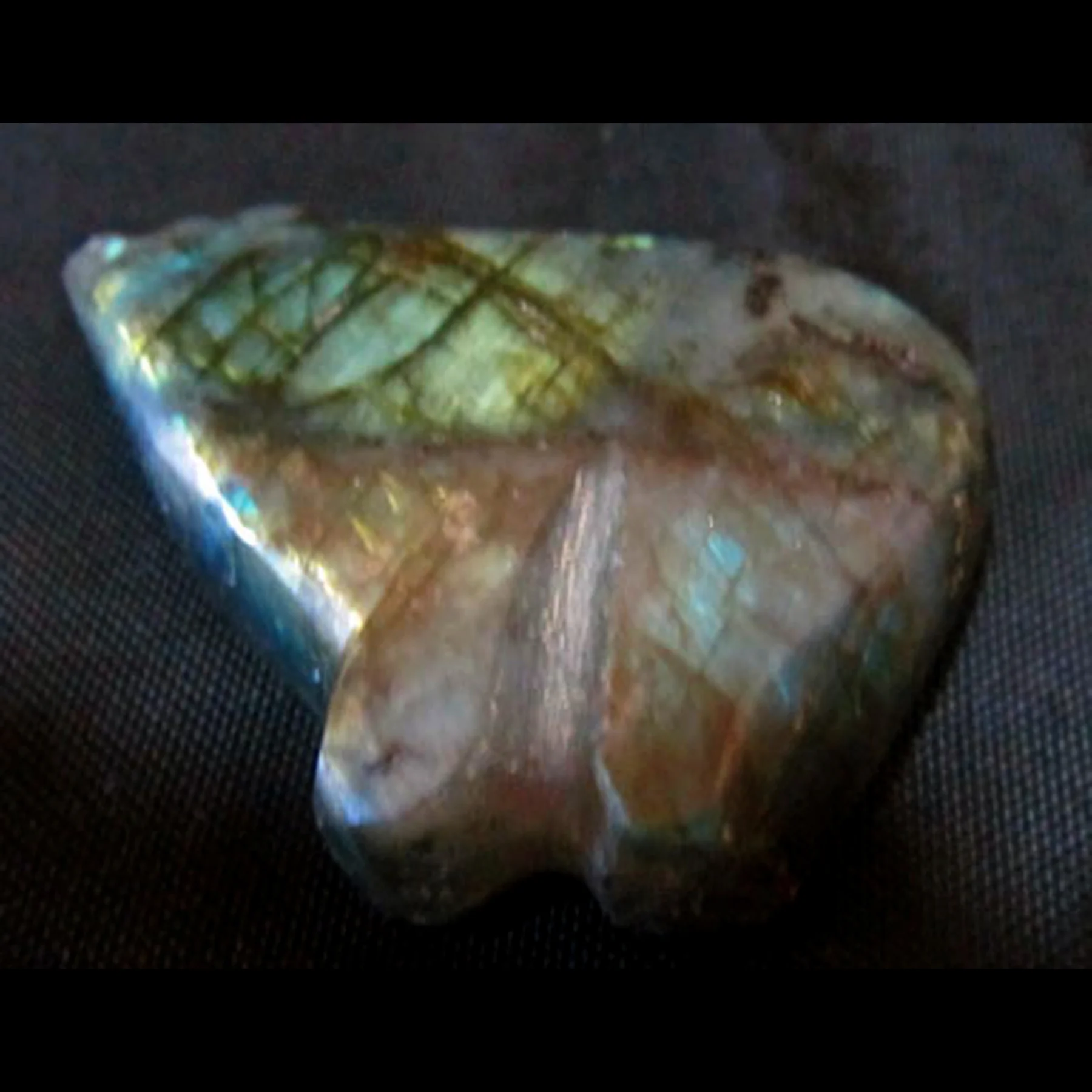 RT15LF-Square-Bernard-Laiwakete-Zuni-Labradorite-bear-600.jpg