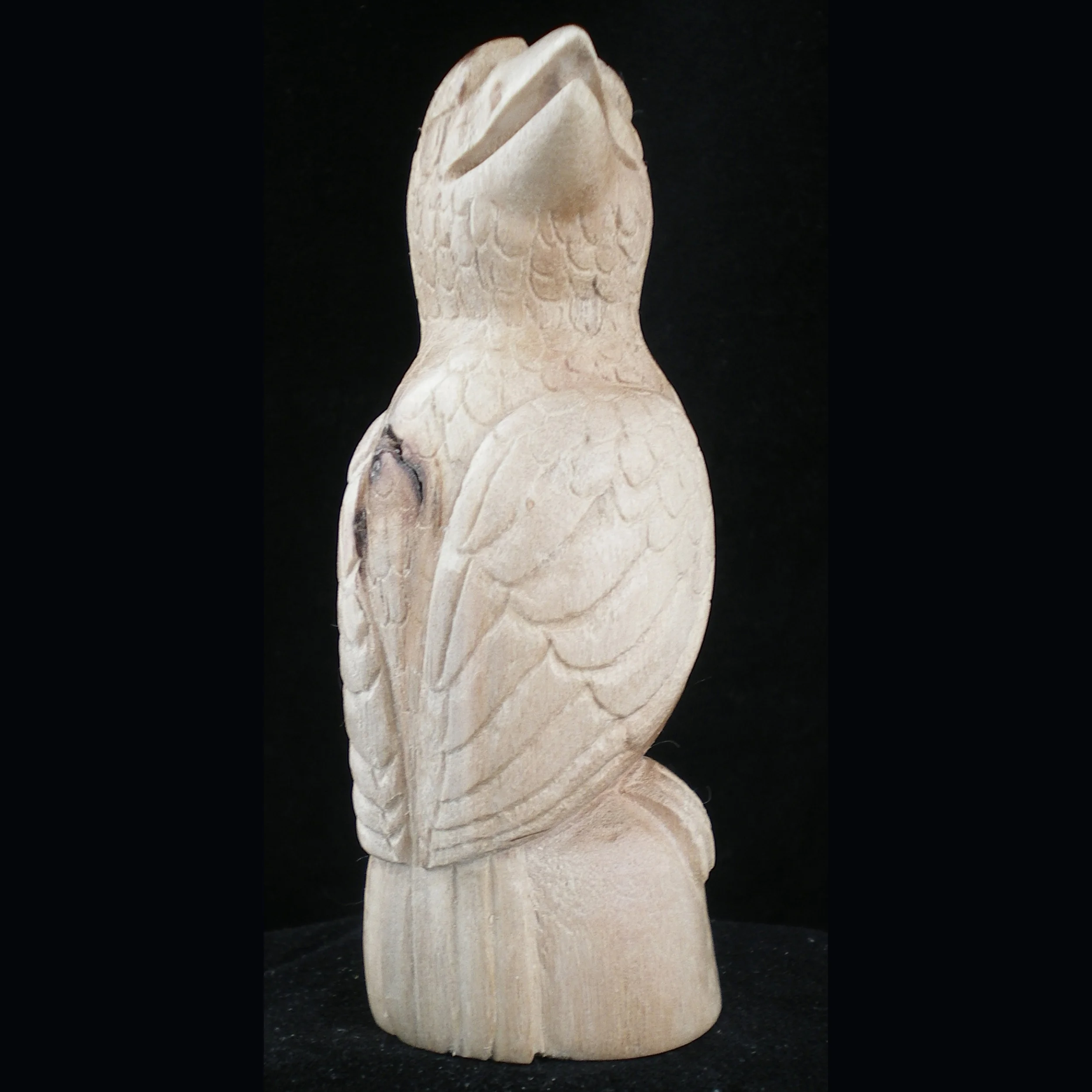 RM82F-Square-Brian-Yatsattie-Zuni-raven-fetish-1500.jpg
