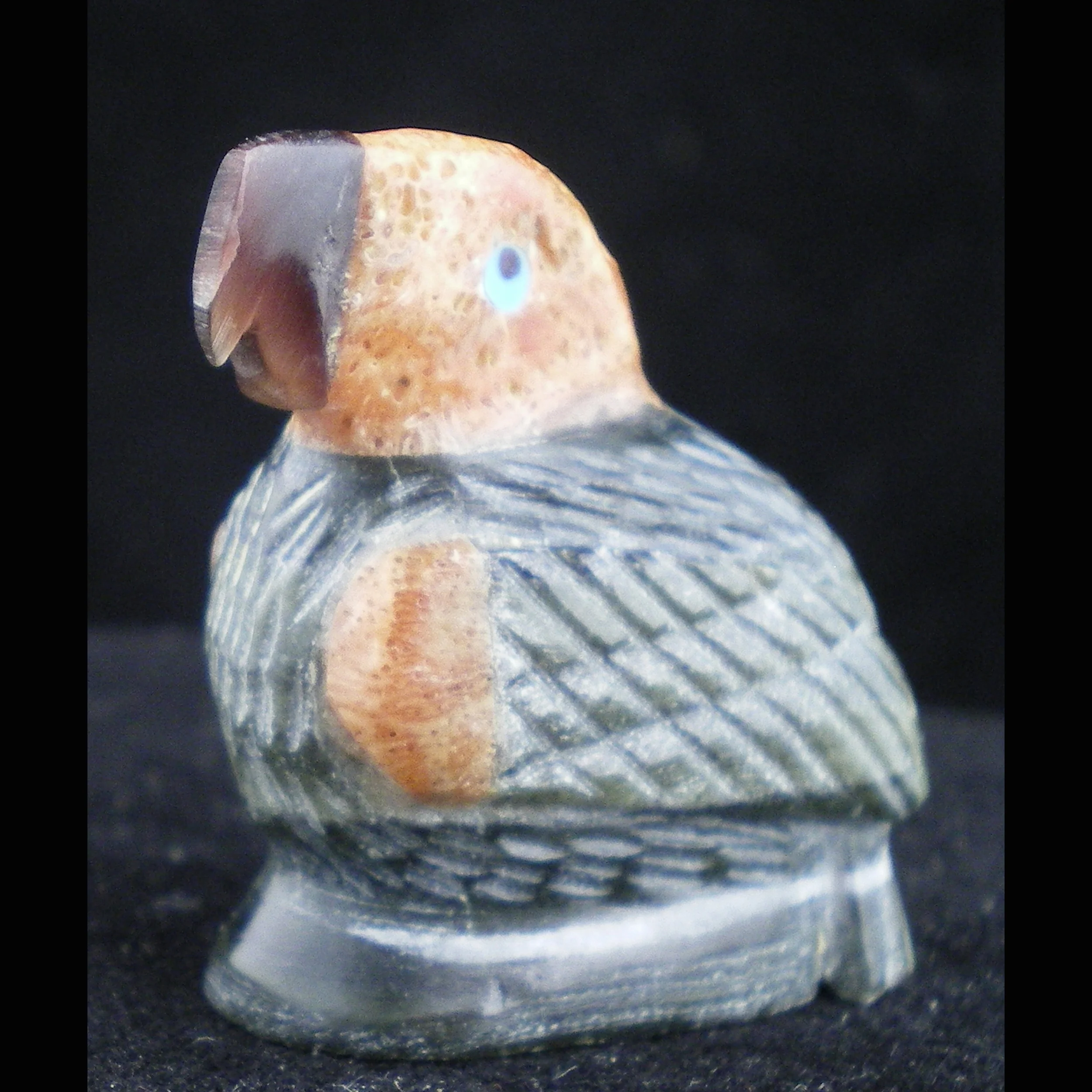RN94L-Square-Edison-Bobelu-parrot-Zuni-fetish-1200.jpg