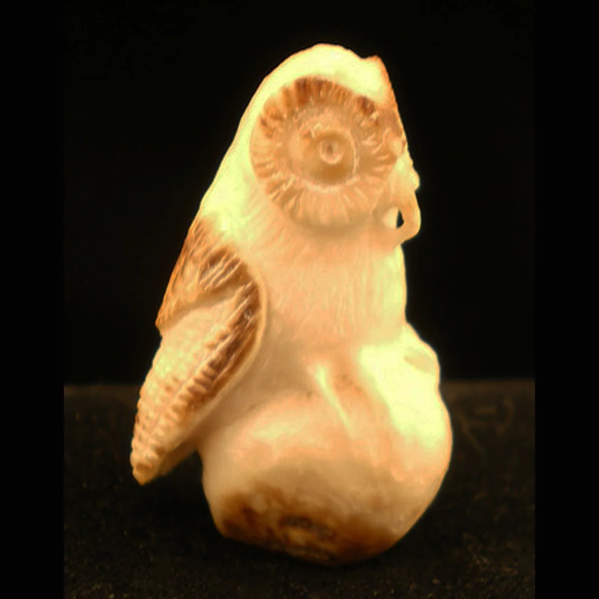 S883RX-Square-Zuni-Maxx-Laate-owl-carving-1200.jpg