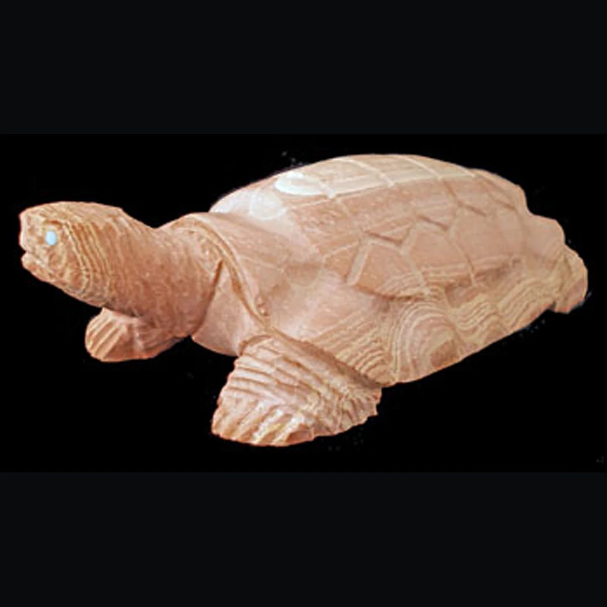 SX12L-Herbert-Him-Zuni-turtle-fetish-400.jpg