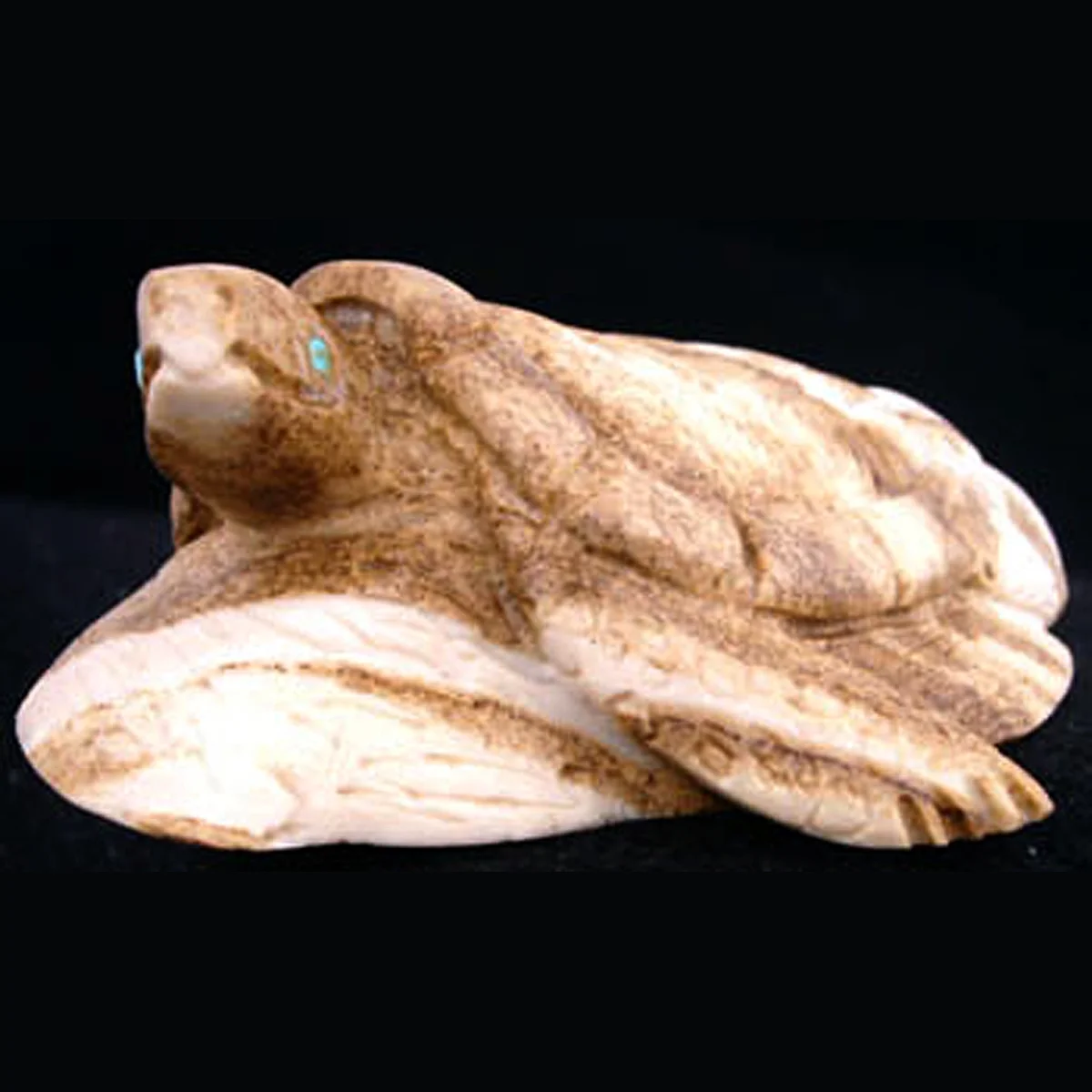 SX93L-Square-Michael-Cobel-Zuni-turtle-fetish-400.jpg