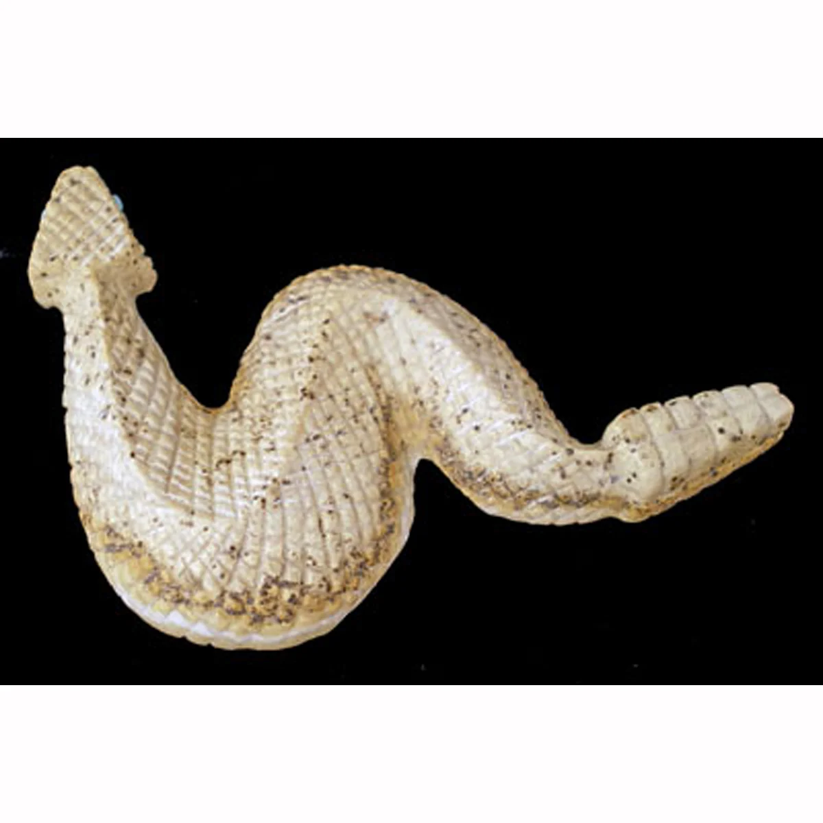 S281L-Square-Zuni-Kent-Banteah-snake-carving-400.jpg