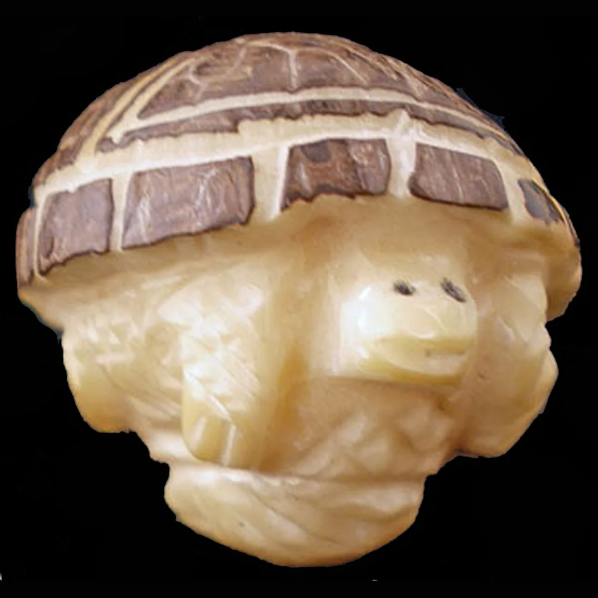 Si86F-Square-Zuni-Yvette-Kaamassee-tagua-nut-turtle-400.jpg