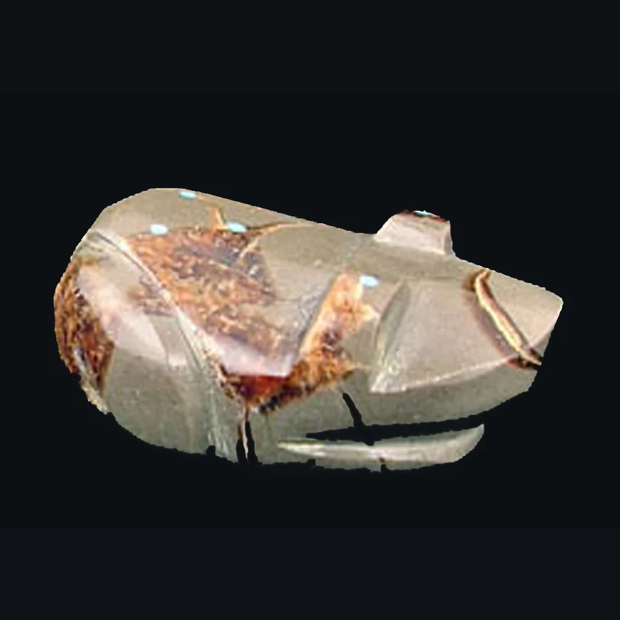 Abby Quam — Find Zuni fetishes, Inuit carvings, Native American jewelry