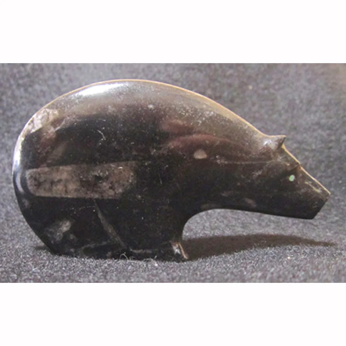 RU47R-Square-Stuart-Quandelacy-orthoceras-Zuni-bear-400.jpg