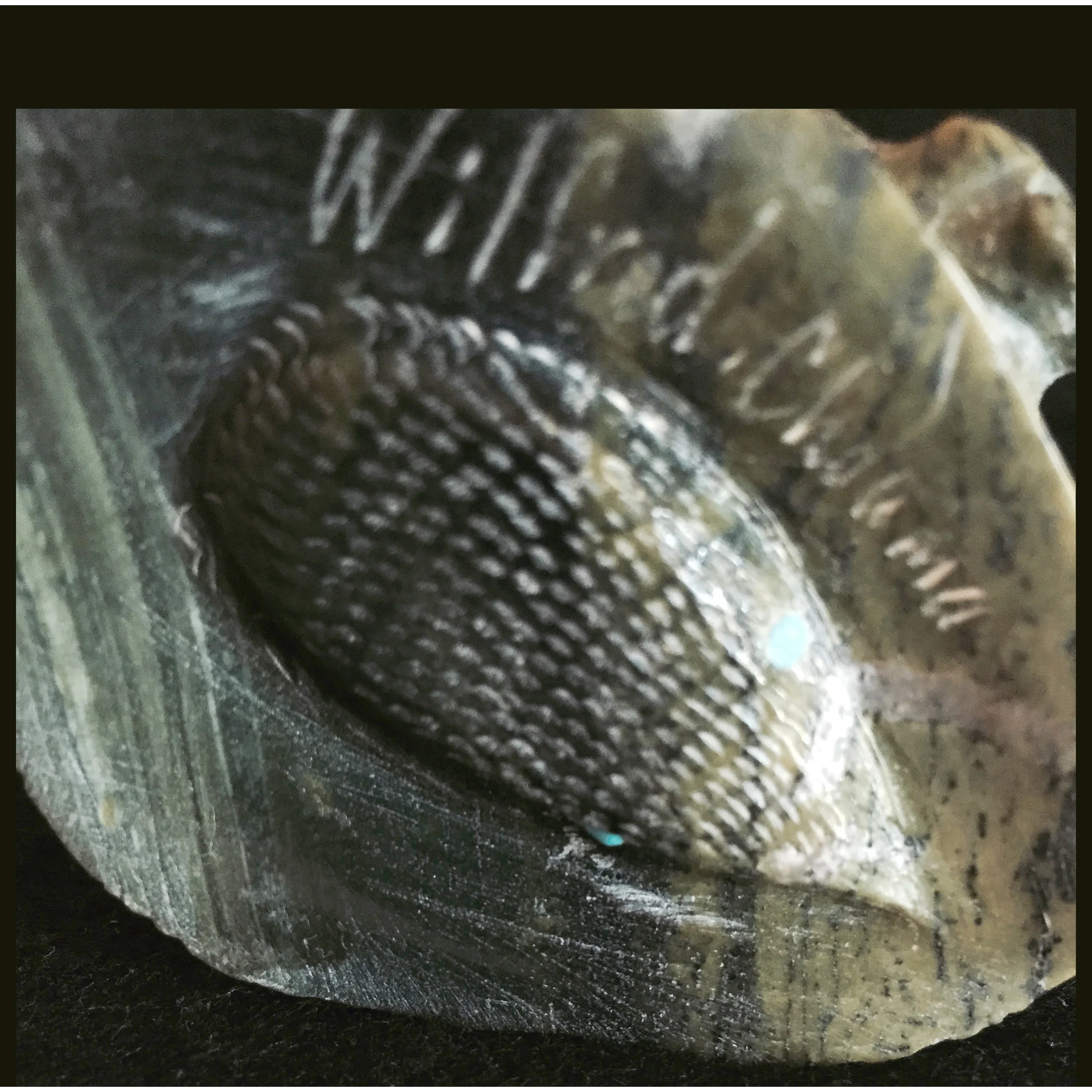 R548C-Square-Zuni-Wilfred-Cheama-6-directions-carving-1000.jpg