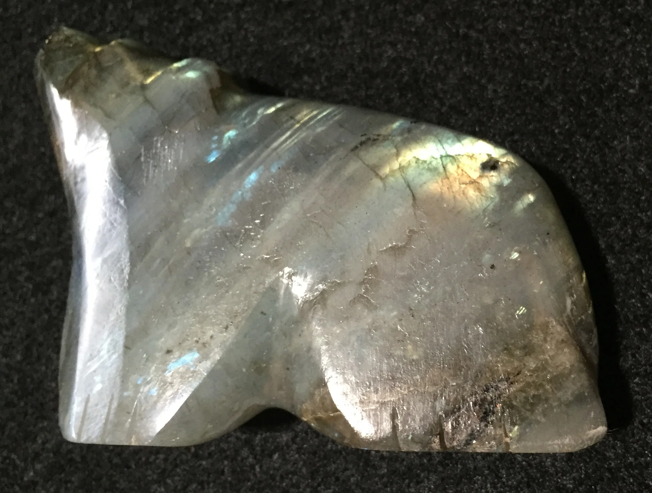 RW44L_Debra-Gasper_Zuni-Labradorite-bear-fetish.jpg