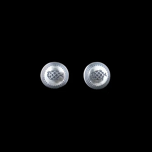 MX70-Navajo-silver-convex-disks-post-mimbres-style-fish-earrings-500.jpg