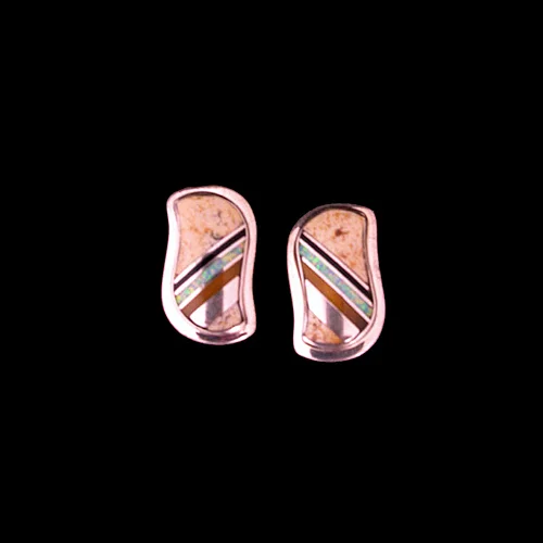ML75-Navajo-Charley-fossil-earrings-500.jpg