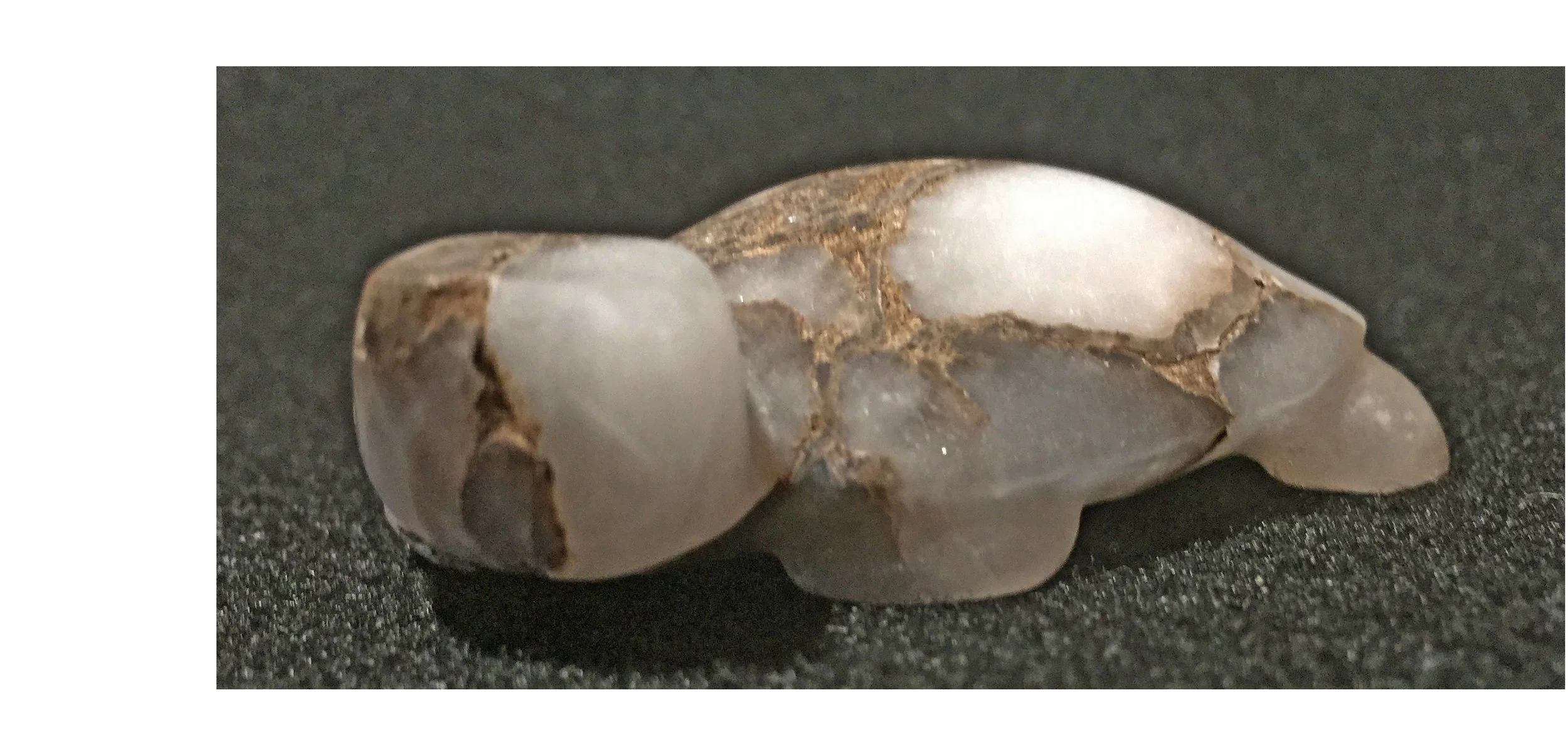 RX08LL_Melvin-Sandoval_San-Felipe_ice-alabaster_land-turtle.jpg