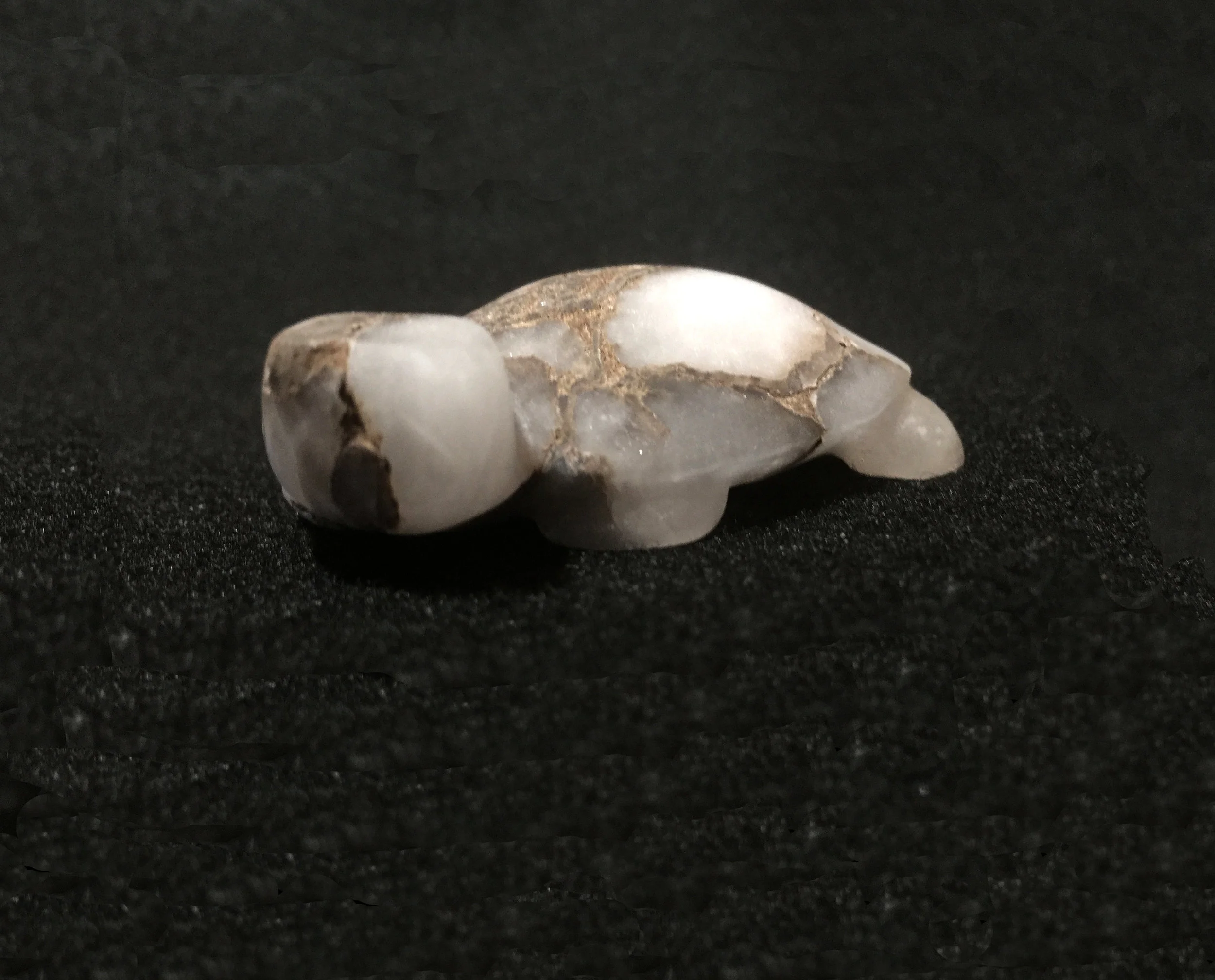 RX08LL_Melvin-Sandoval_San-Felipe_ice-alabaster_land-turtle-sm.jpg